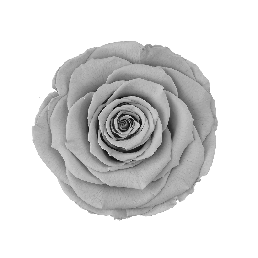 GRY-02｜7cm 6輪 XL｜RoseAmor
