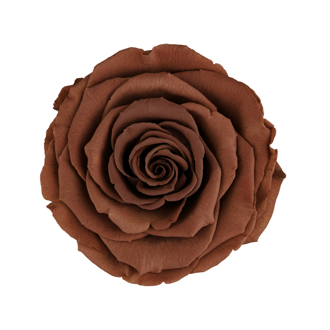 GRP-02｜7cm 6輪 XL｜RoseAmor
