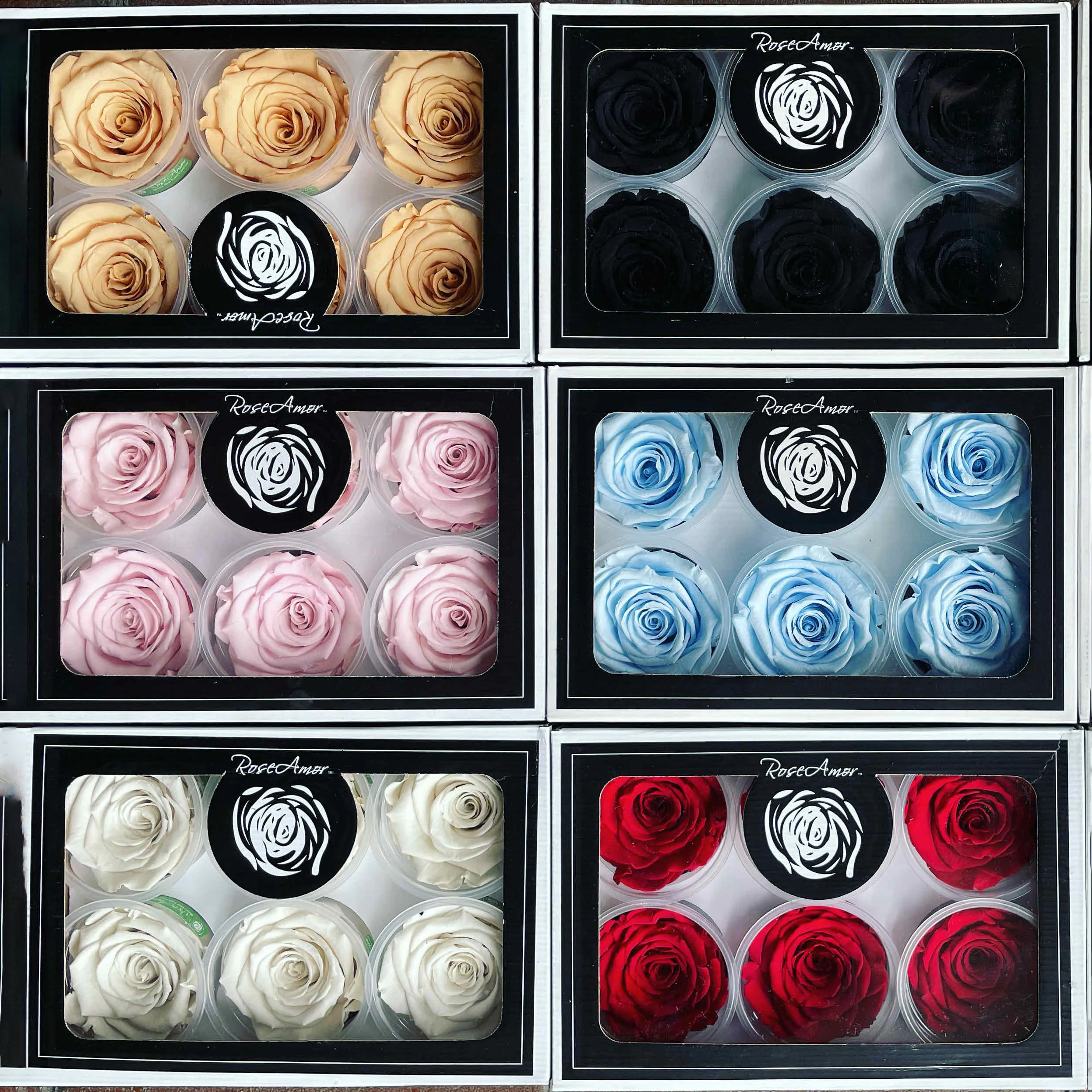 RED-02｜7cm 6輪 XL｜RoseAmor