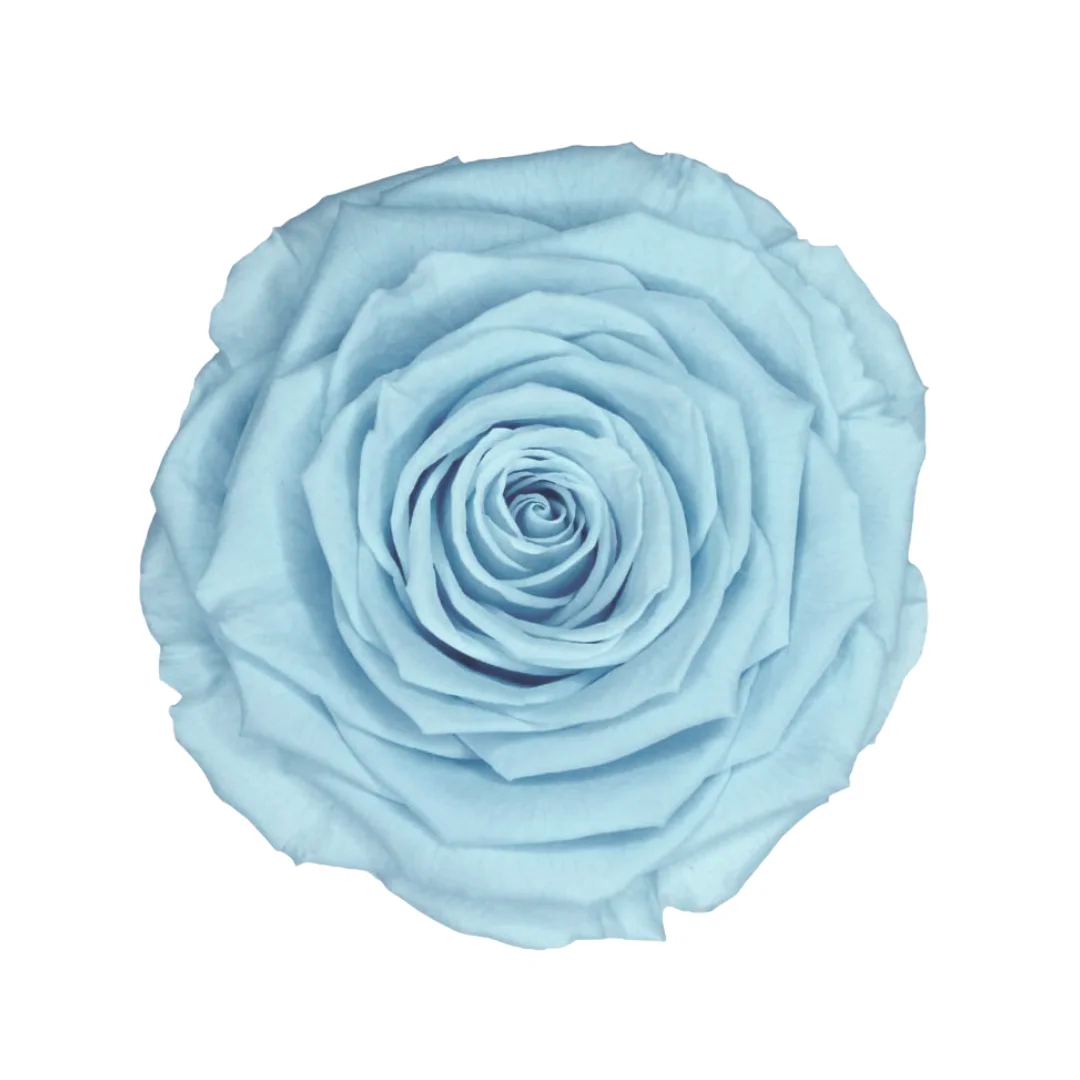 BLU-89｜7cm 6輪 XL｜RoseAmor