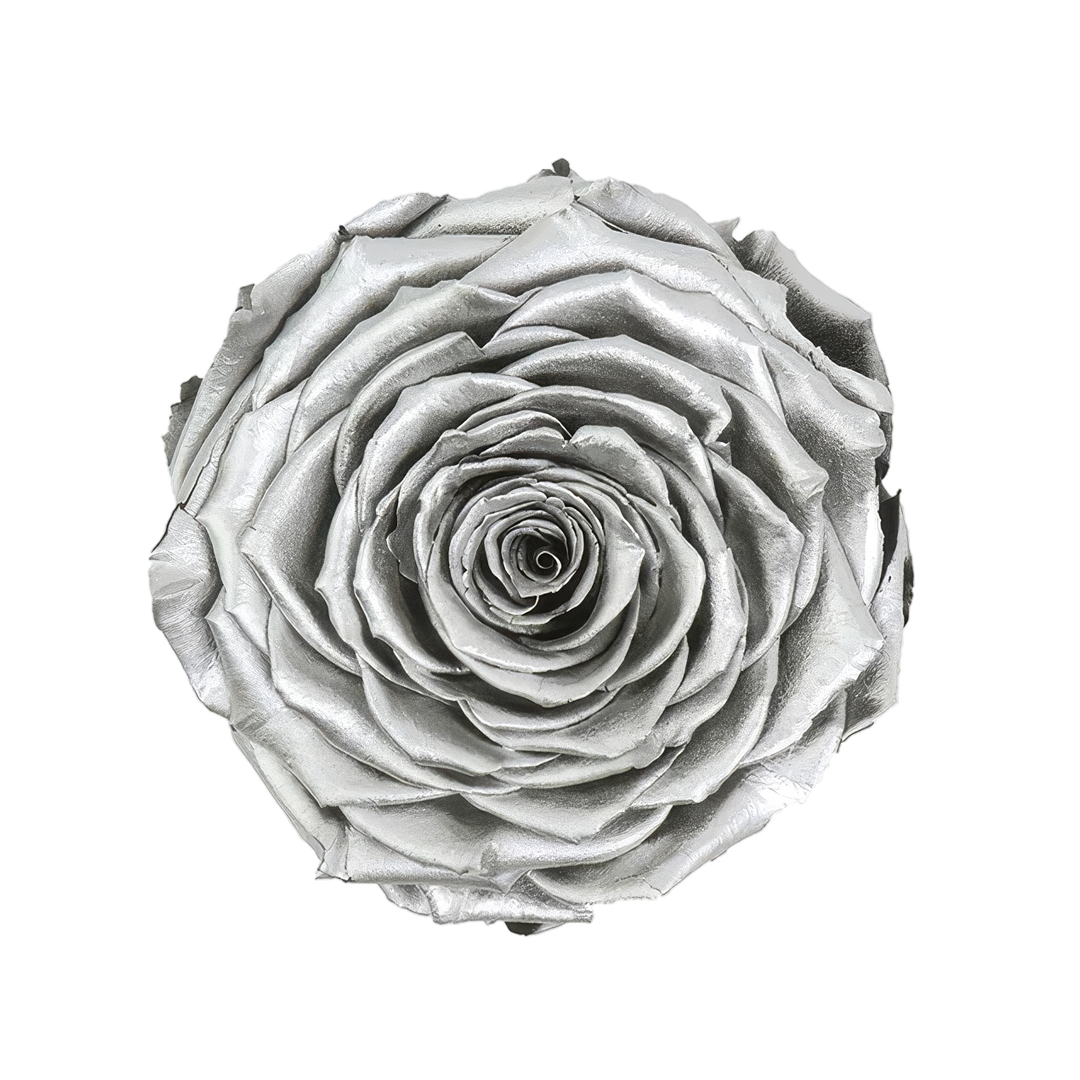 M4 SILVER｜7cm 6輪 XL｜RoseAmor