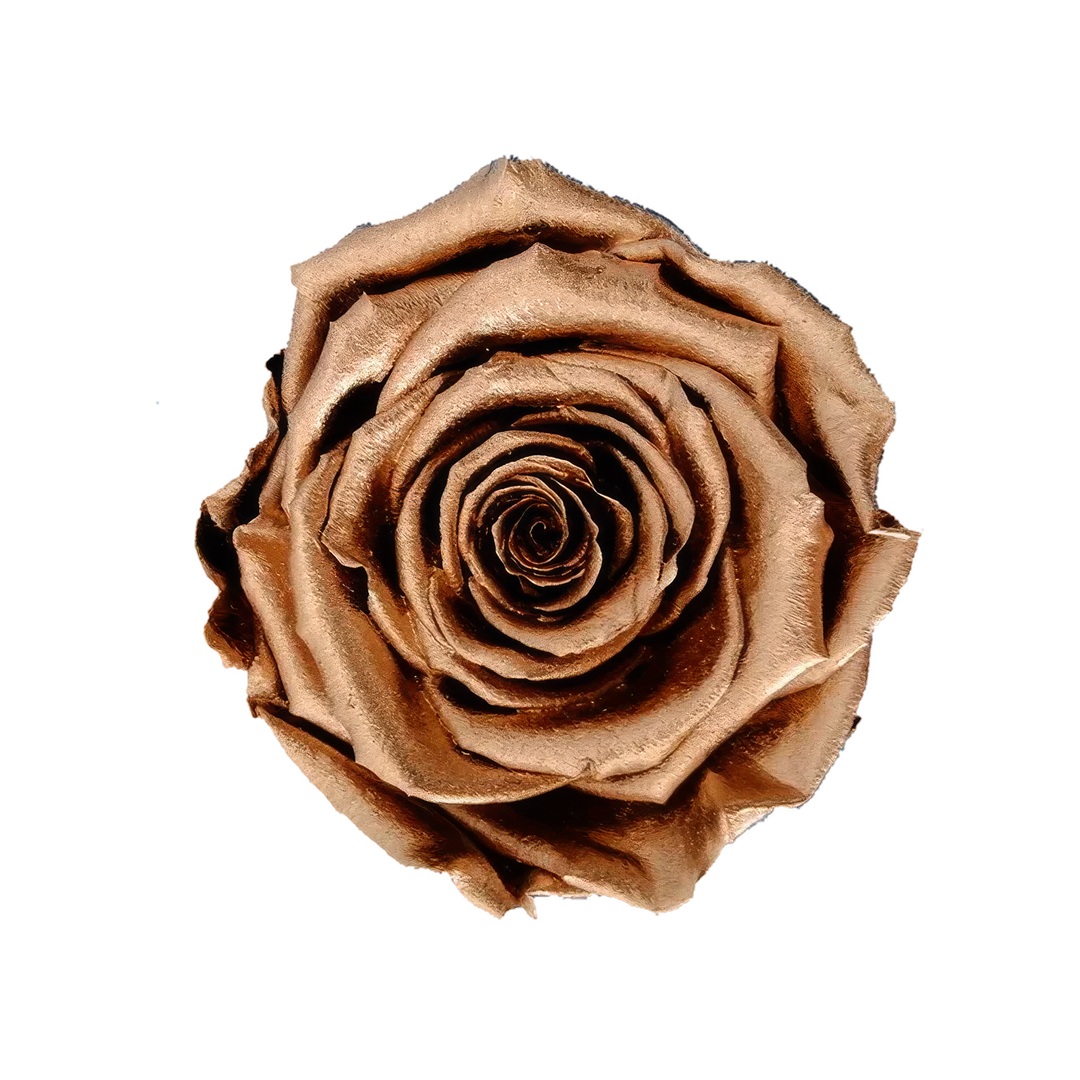 M4 COPPER｜7cm 6輪 XL｜RoseAmor
