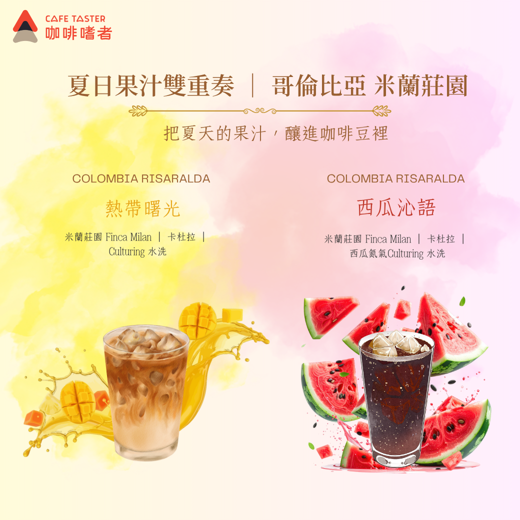 【限時限量62折】哥倫比亞．米蘭莊園｜西瓜沁語x  熱帶曙光
