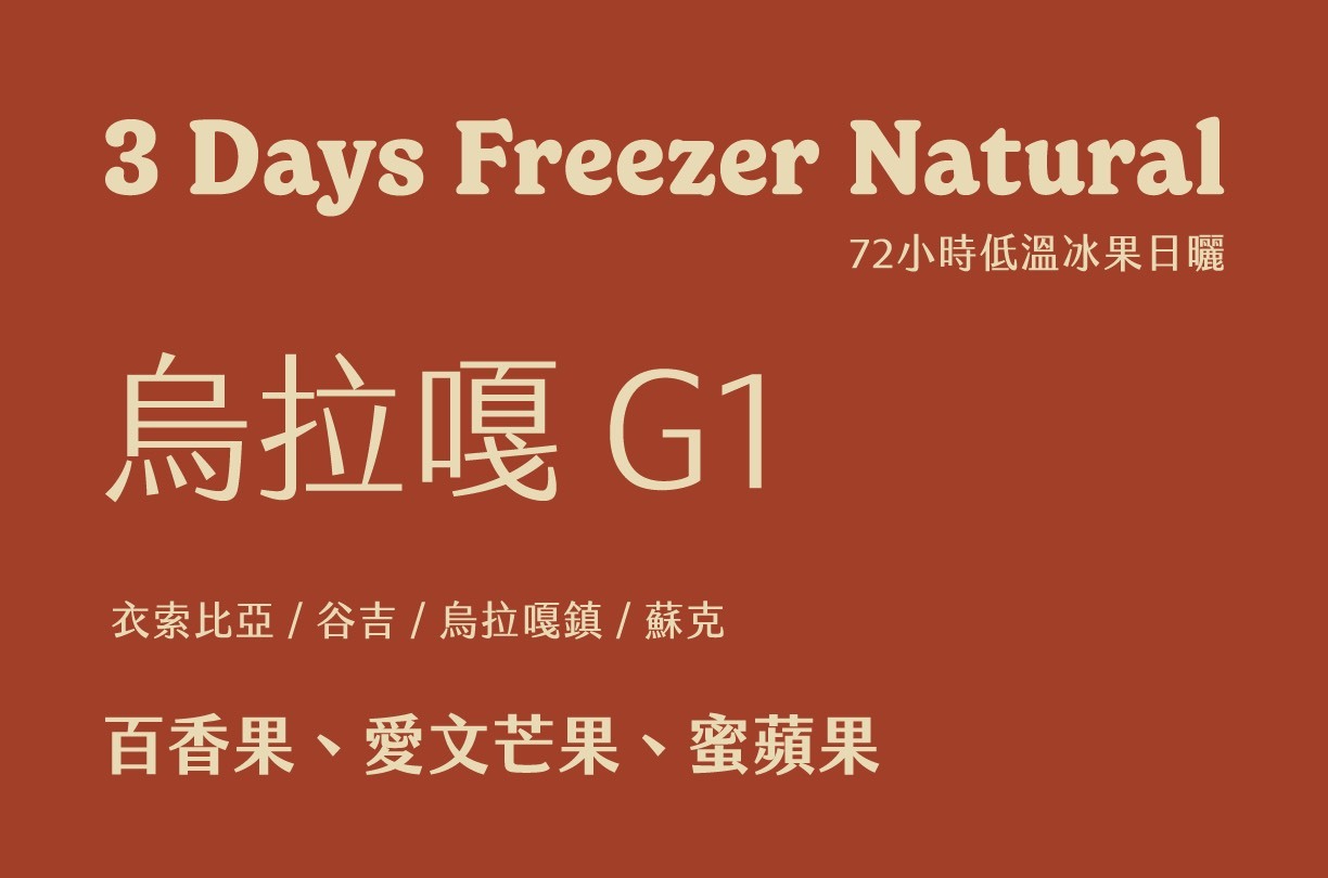衣索比亞 谷吉 烏拉嘎G1 冰果日曬 (120g)