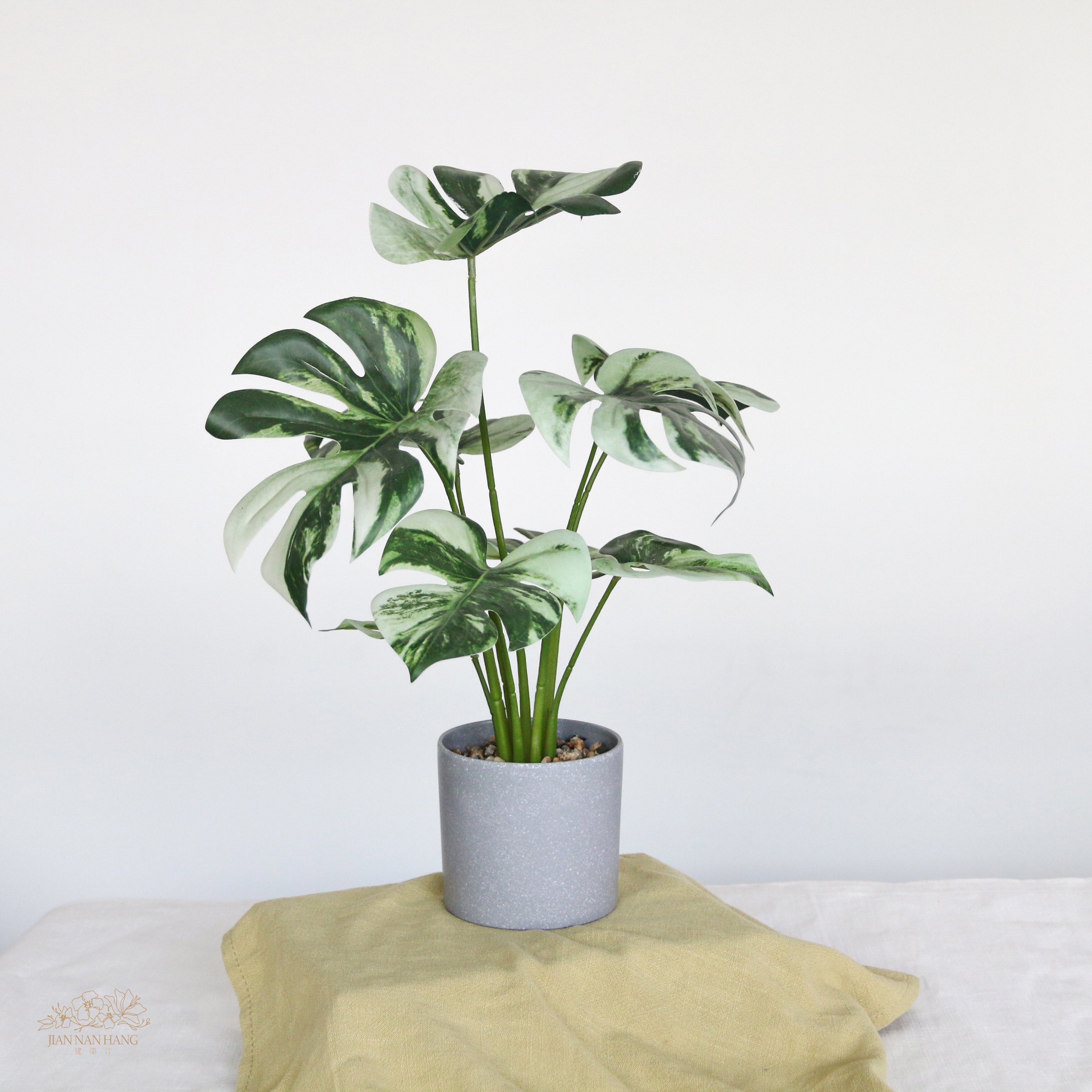 擬真樹 龜背芋 白綠 小型 37cm