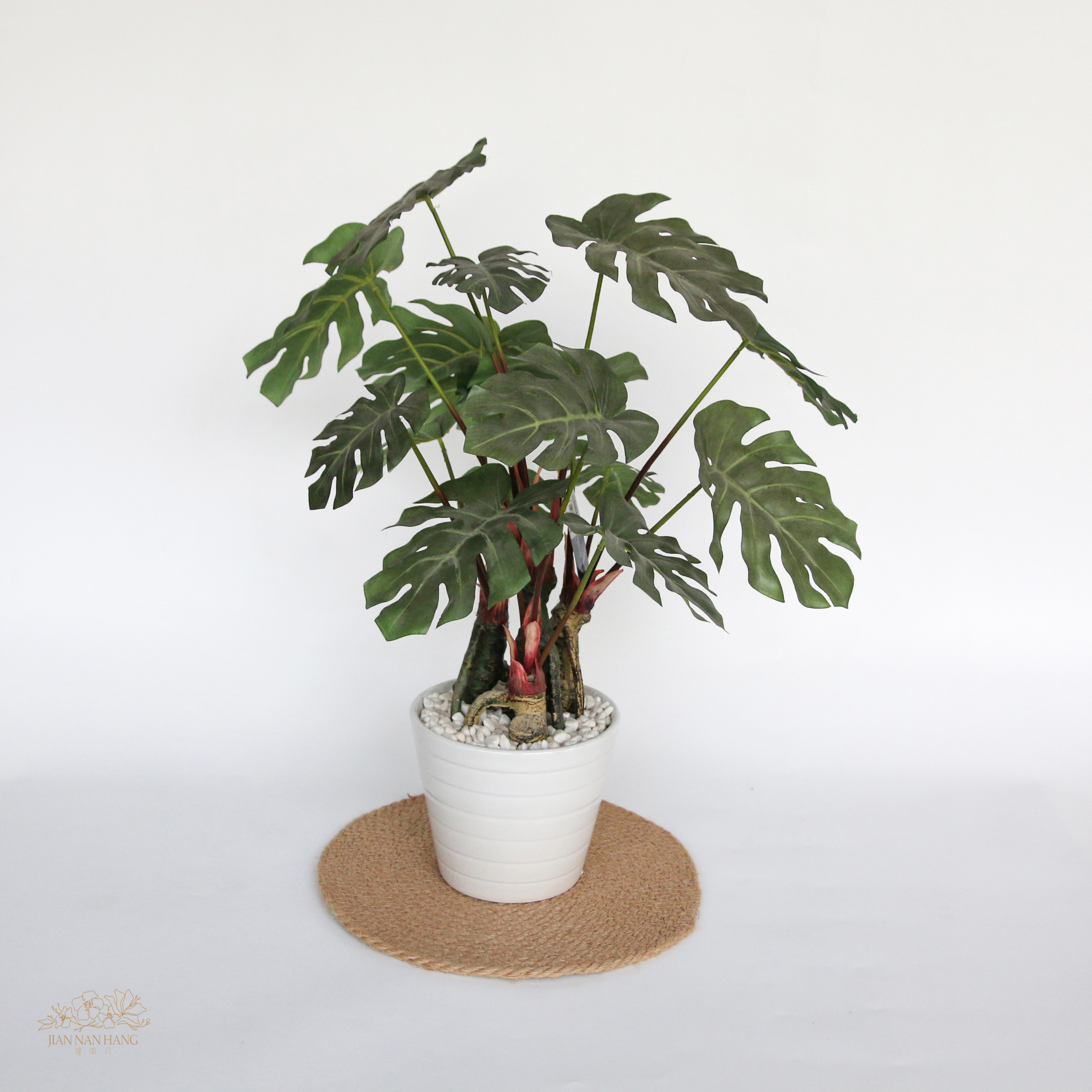 擬真樹 龜背芋 小型 綠 26cm