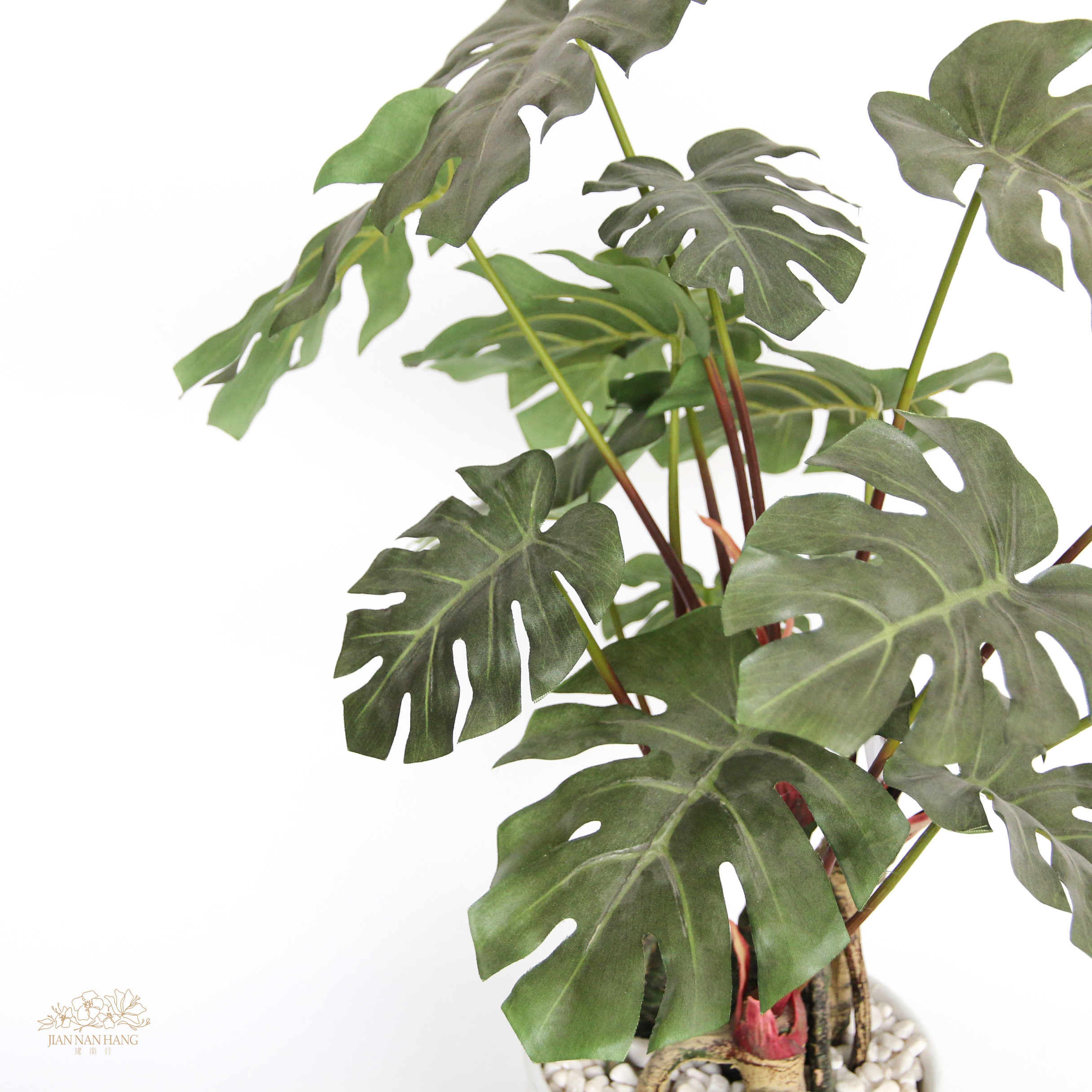 擬真樹 龜背芋 小型 綠 26cm