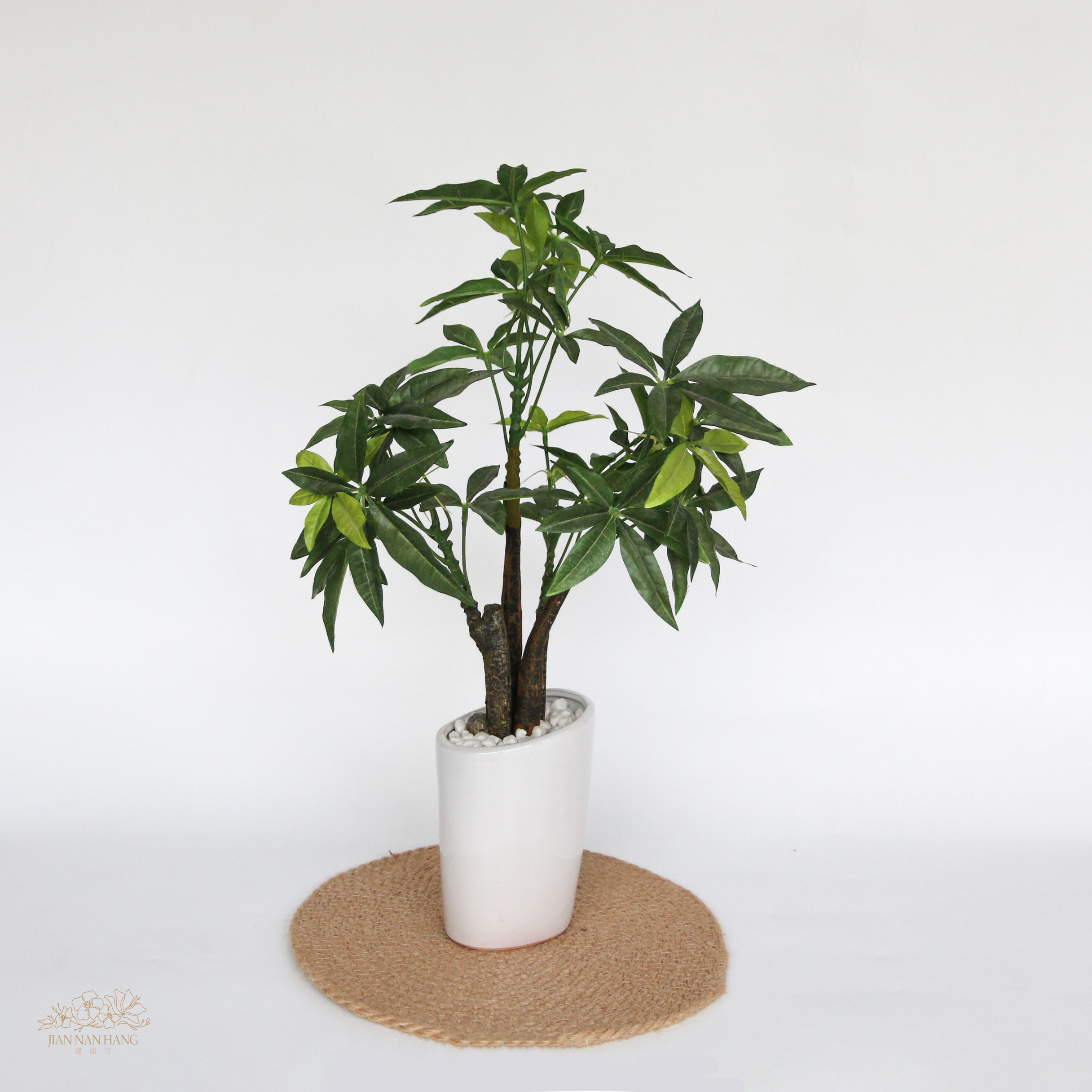 擬真樹 長葉發財樹 小型 50cm