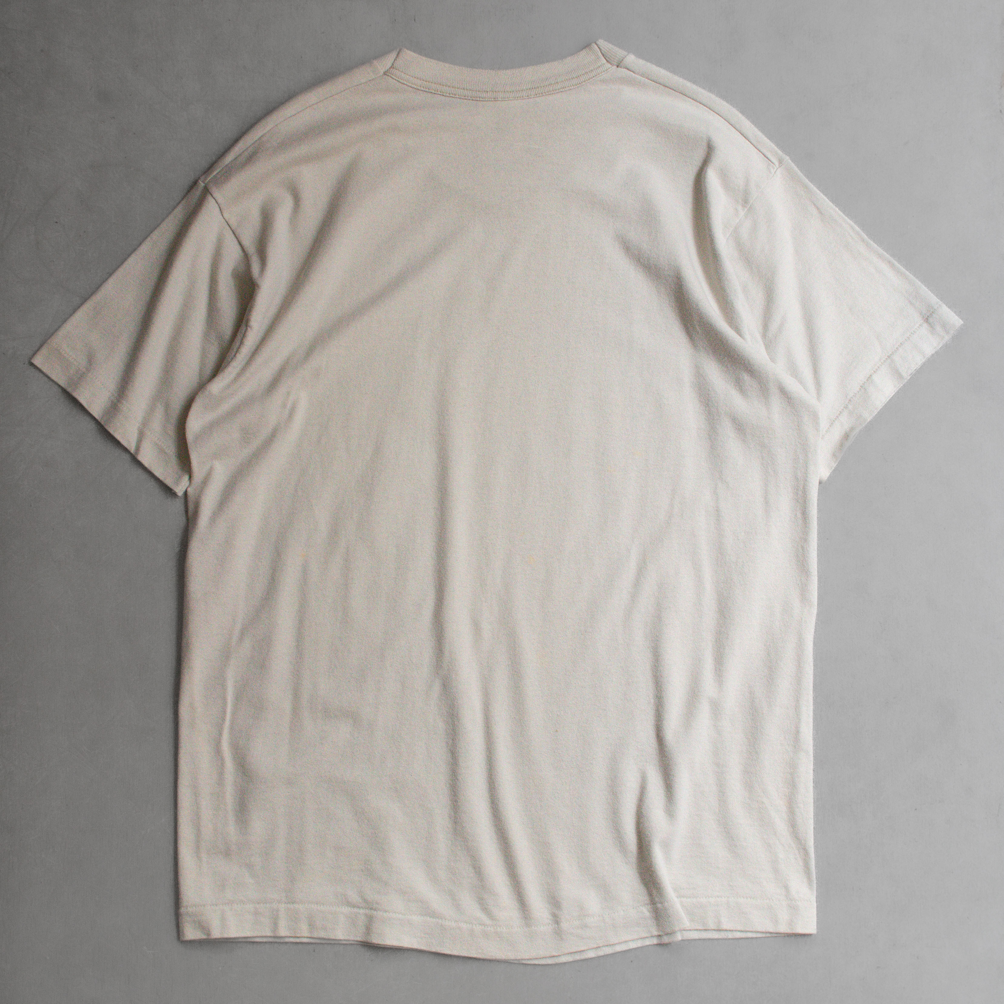90S HANES VINTAGE TEE 美國製 太空人 太空梭 照片 米色 短袖 T恤