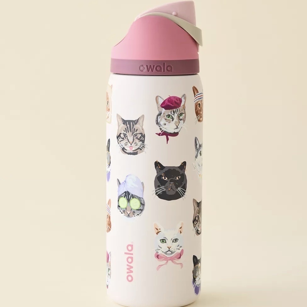 （預購）Owala x UO聯名FreeSip 32oz 粉色貓咪款
