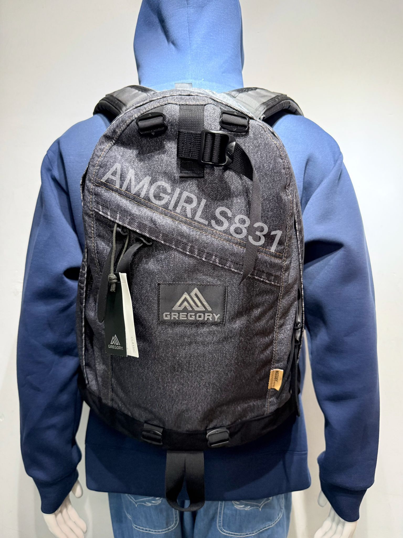 Gregory X NEEDBY day pack 經典聯名系列