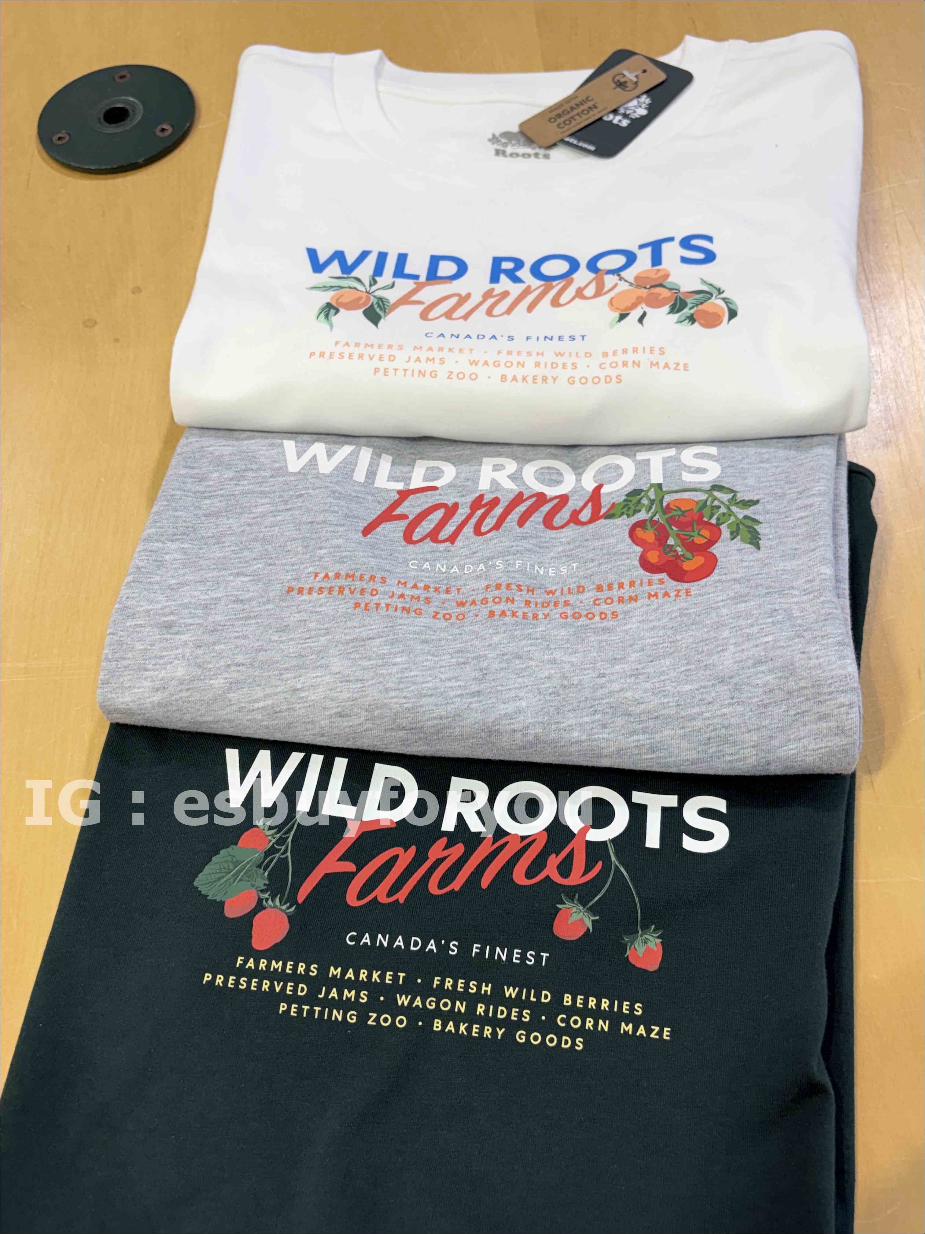 ROOTS 女大人 水果圖案 短TEE (3色)