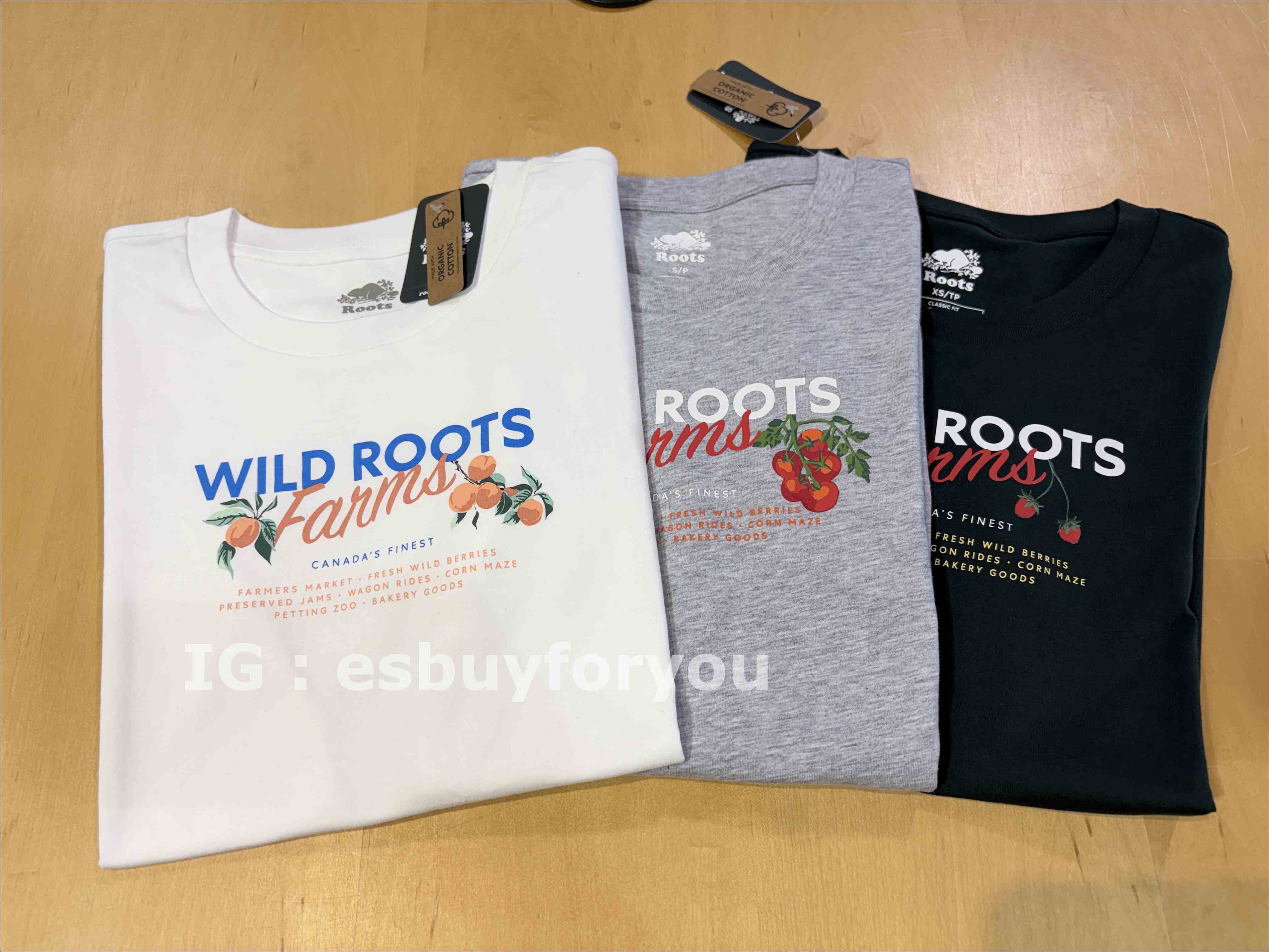 ROOTS 女大人 水果圖案 短TEE (3色)