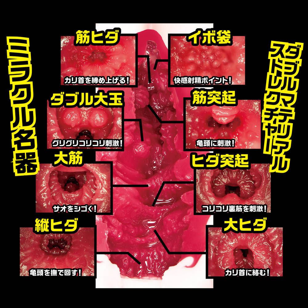 NPG,日本 NPG,NPG 自慰套,女優名器,女優自慰套,女優飛機杯,名器的証明,名器的証明 012,深田詠美