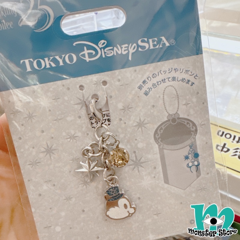 Chip Charm CH2528