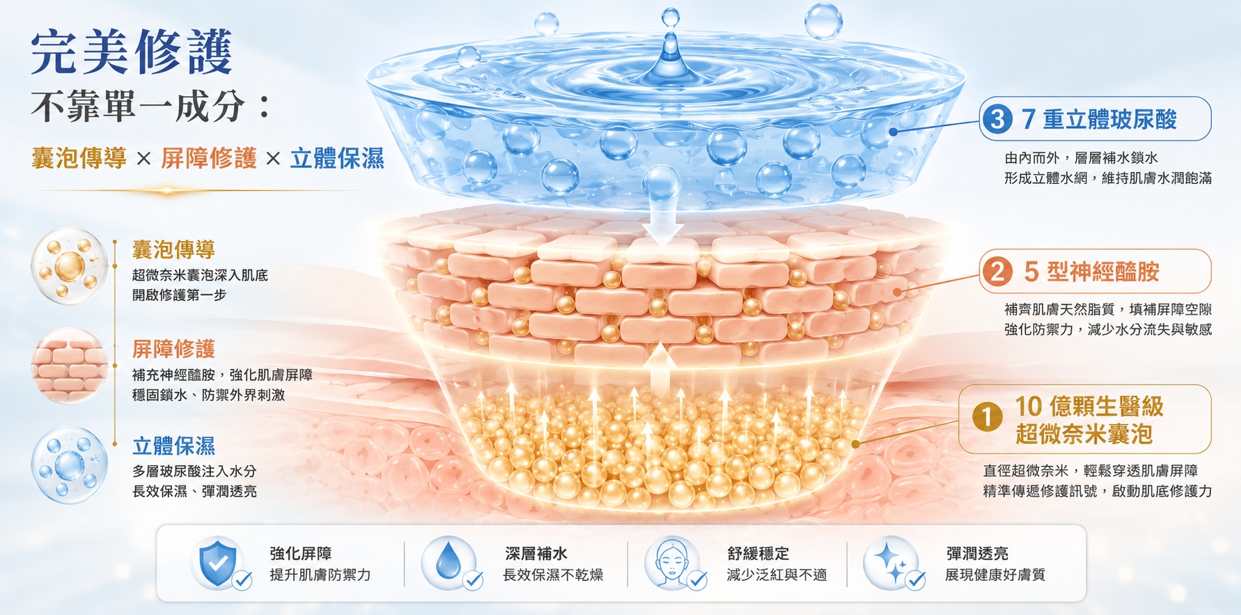 奈米囊泡深層傳遞力與修護機制