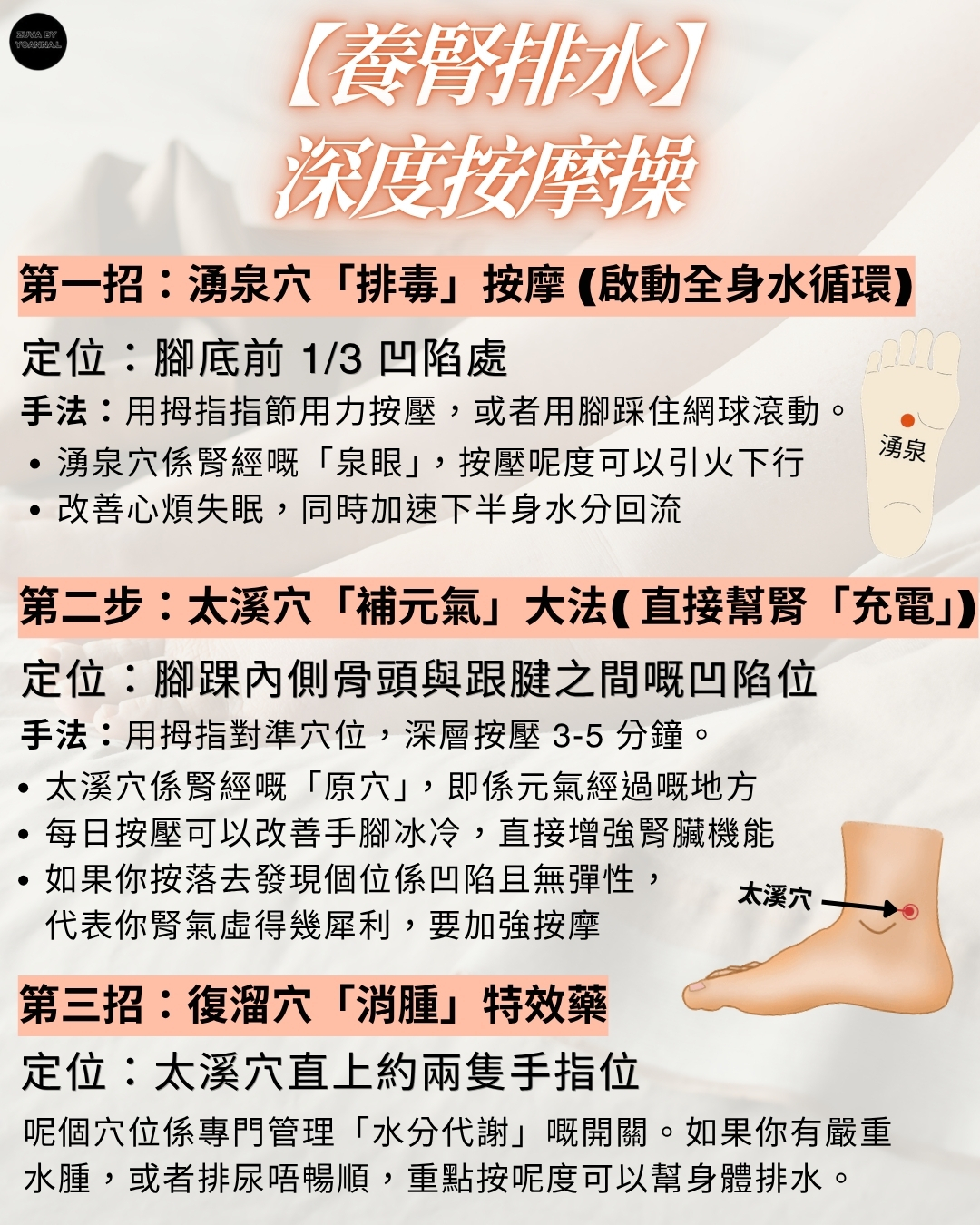 第三類 - 內臟健康與隱形排毒