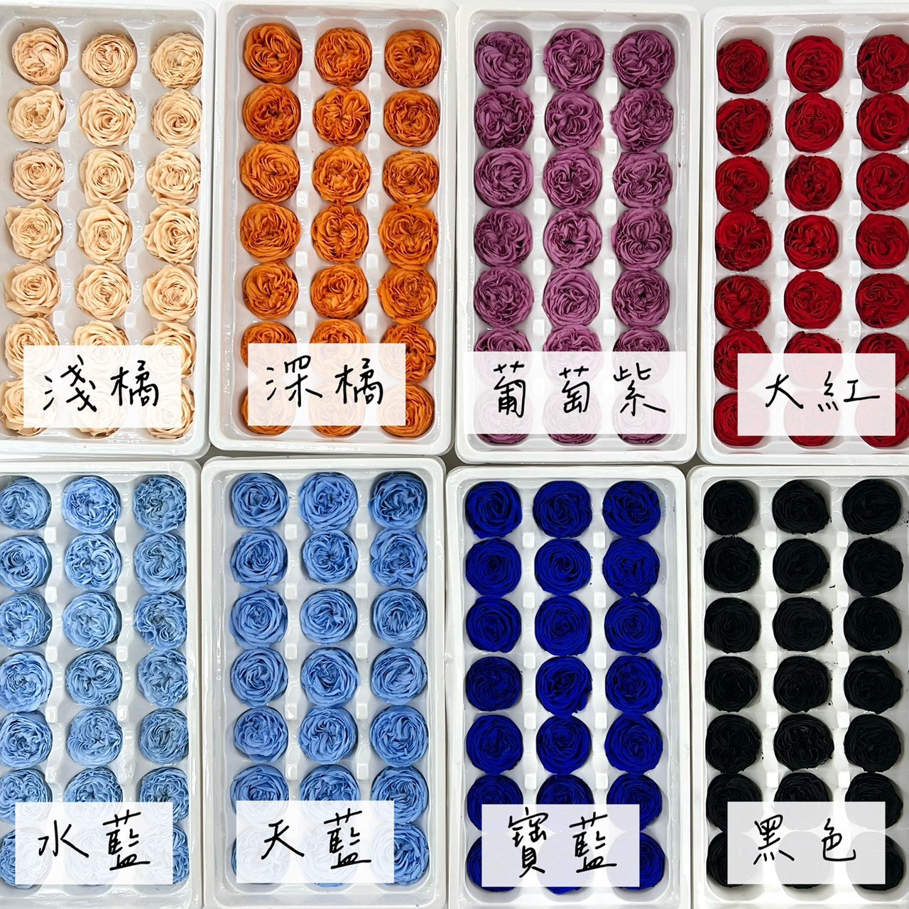 不凋庭園玫瑰花(21朵)