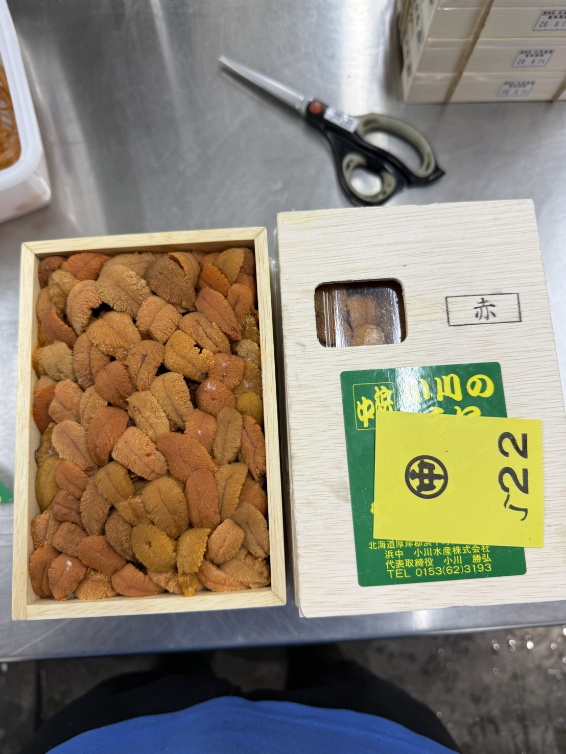 小川浜中ロシア赤バラ~250g