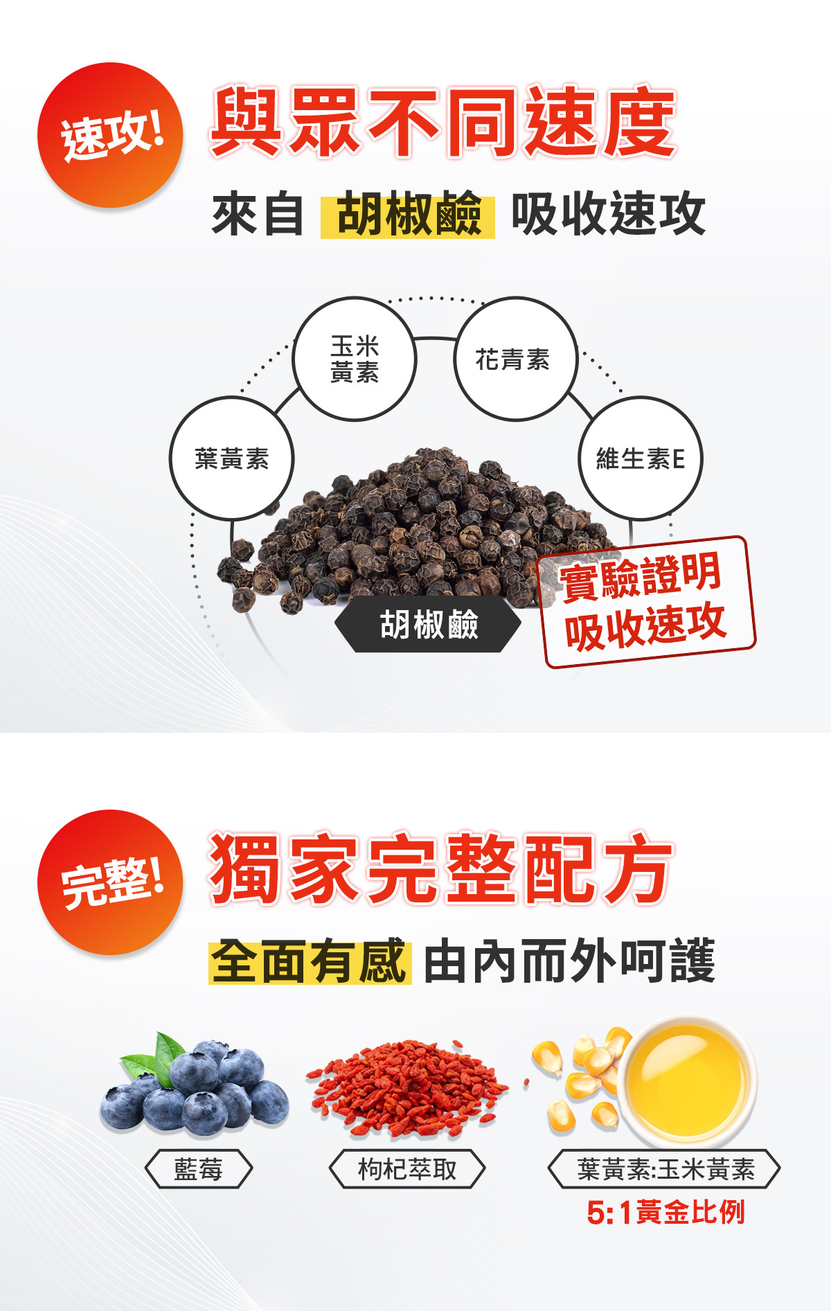 天地合補葉黃素濃縮飲 速攻!完整!