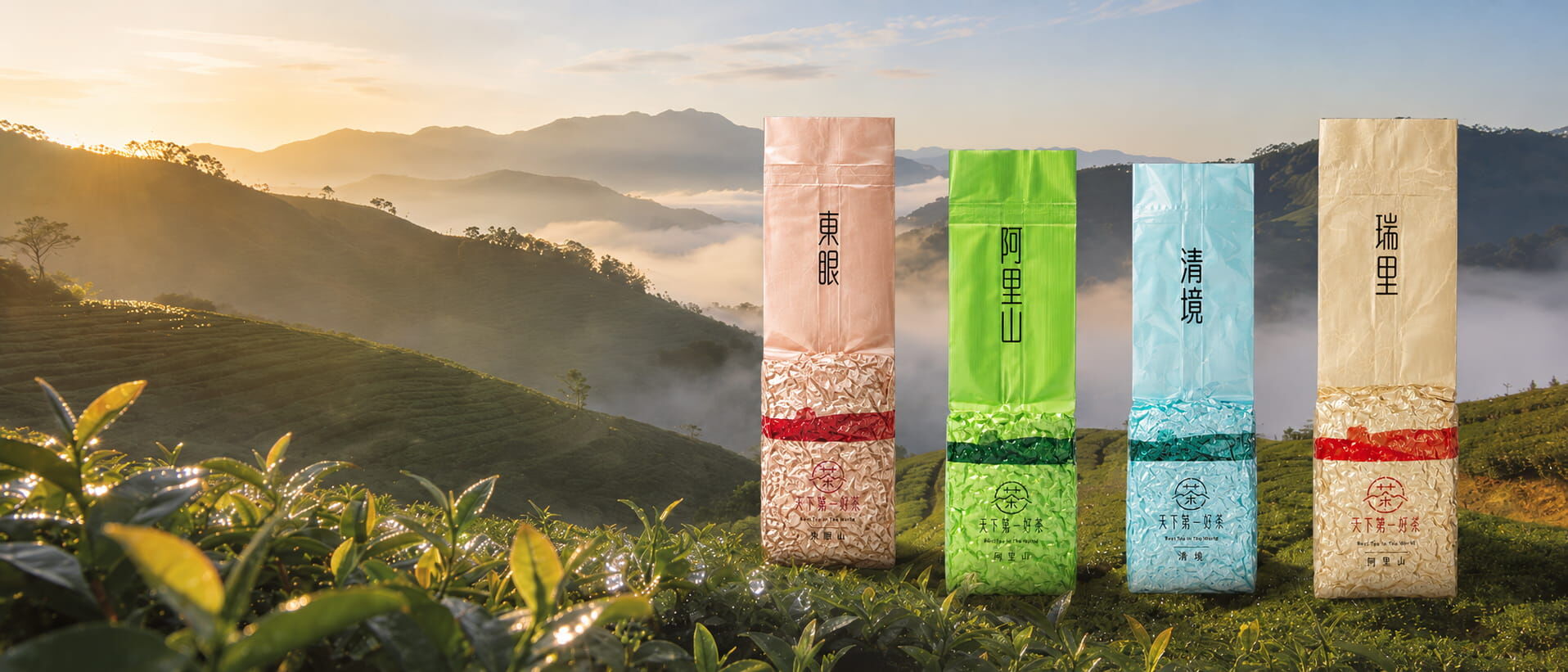 雲山霧韻茶區
