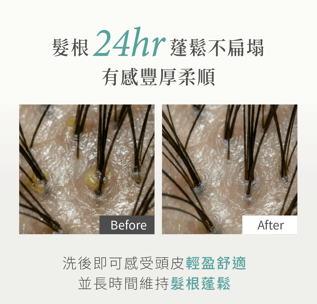 髮根蓬鬆24小時