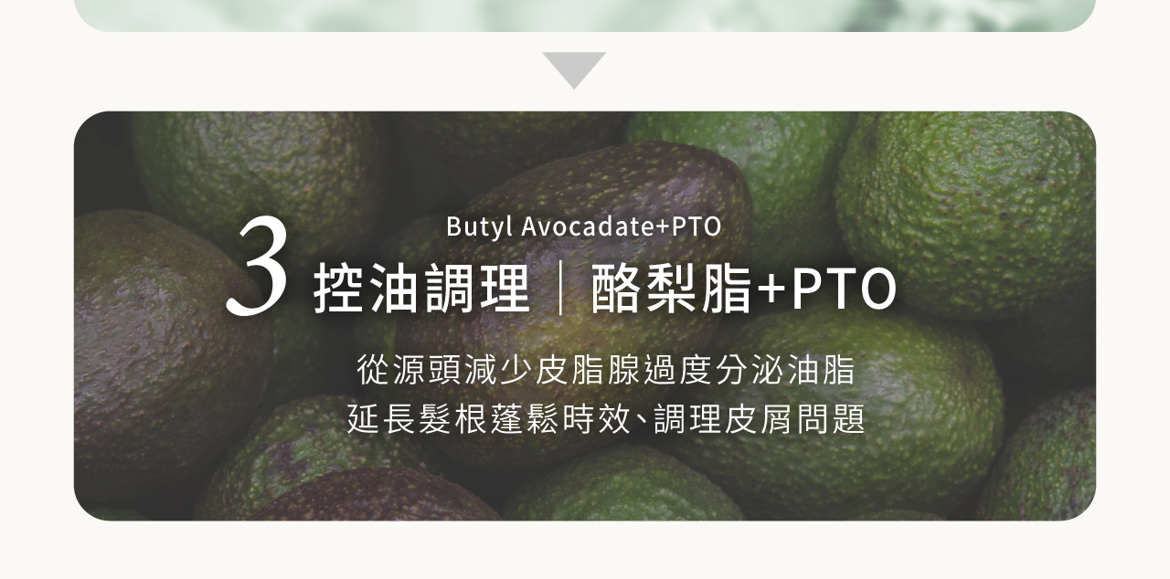 酪梨控油專利+pto調理因子