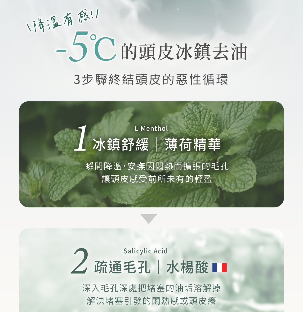 添加薄荷、水楊酸的洗髮精