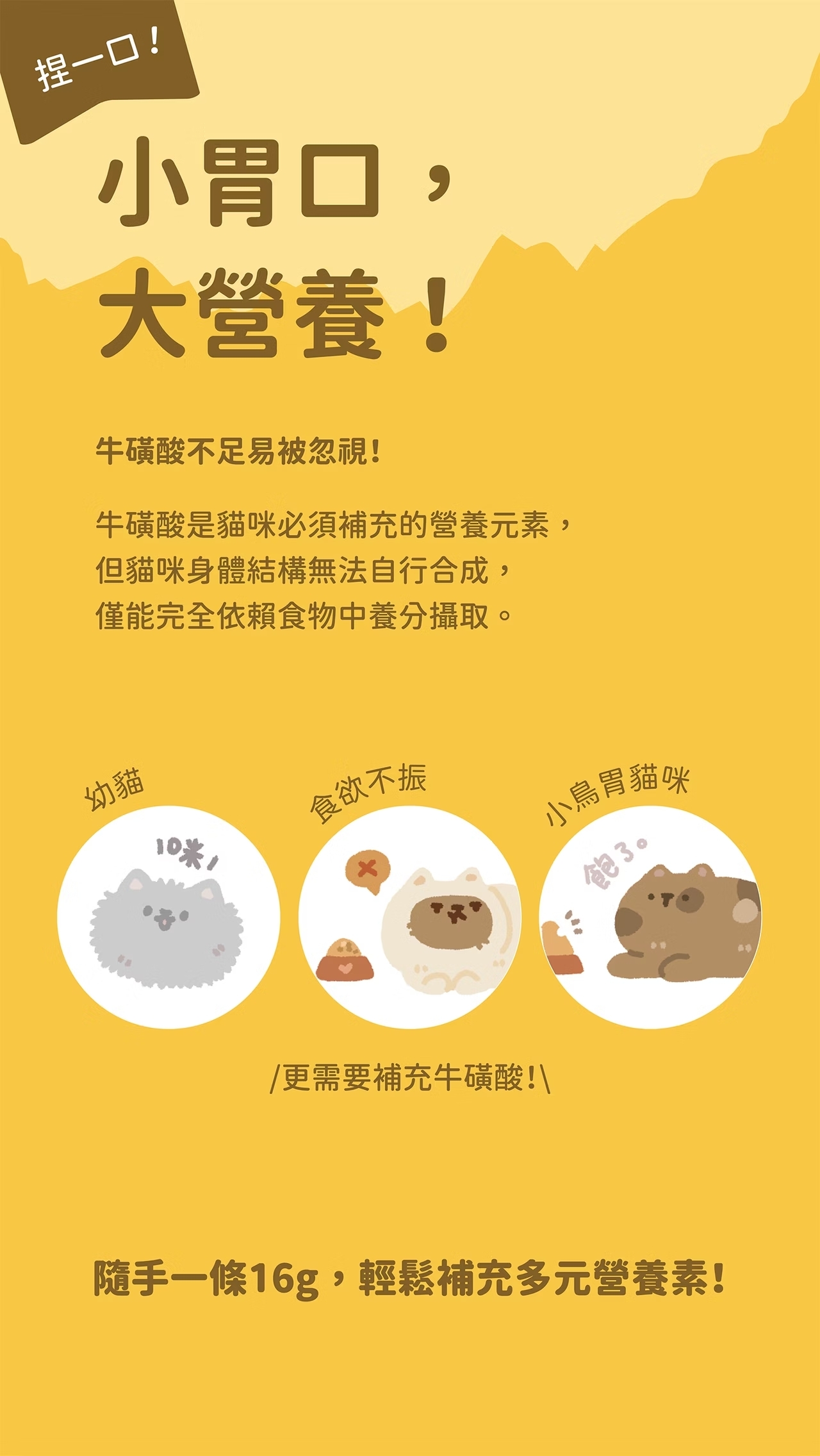貓有話說 牛磺酸 主食肉泥