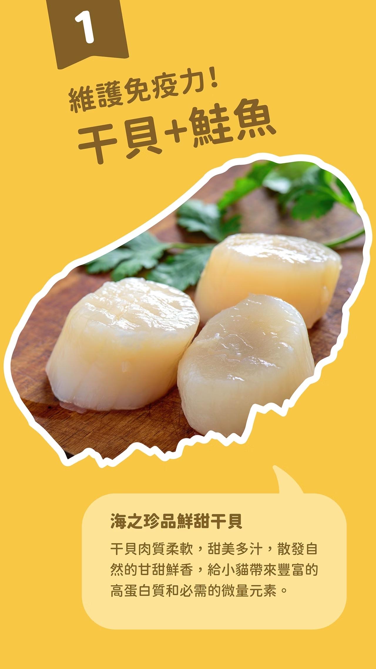 貓有話說 牛磺酸 主食肉泥