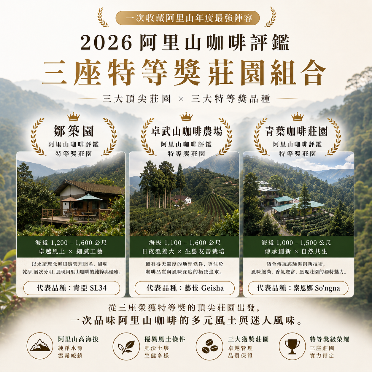 阿里山咖啡評鑑三座榮獲特等獎頂尖莊園組合包｜阿流賽獲獎莊園｜直火烘焙