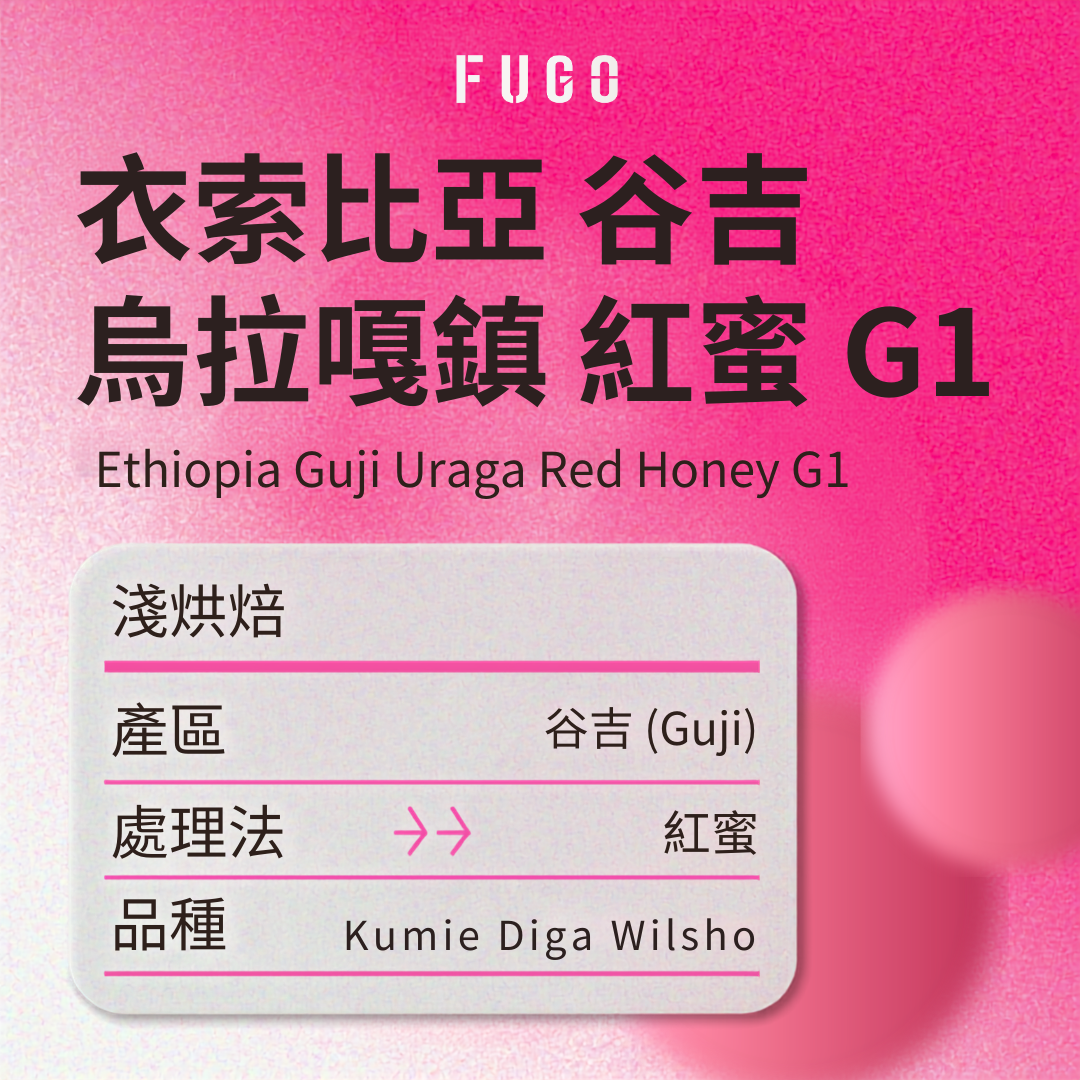 衣索比亞 谷吉 烏拉嘎鎮 紅蜜 G1
