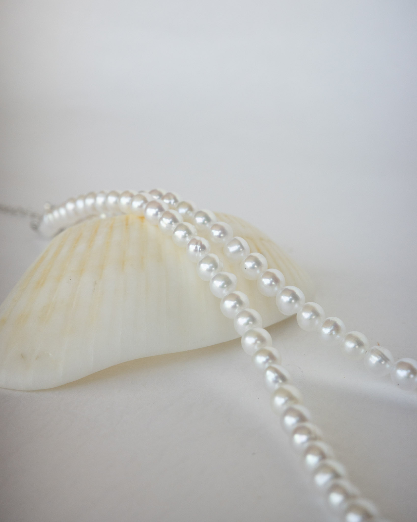 Dôme Blanc 白殿
