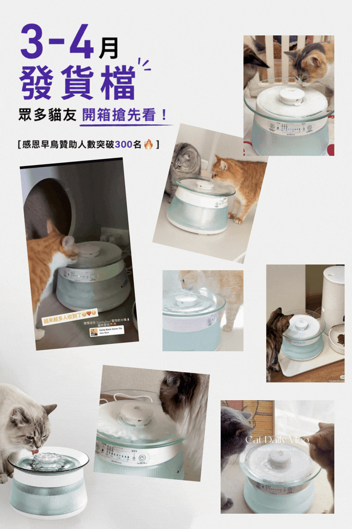 TAILNTAIL寵物飲水機大獲貓咪飼主好評貓咪喝水量明顯變多,多則貓咪網友回傳影片合集