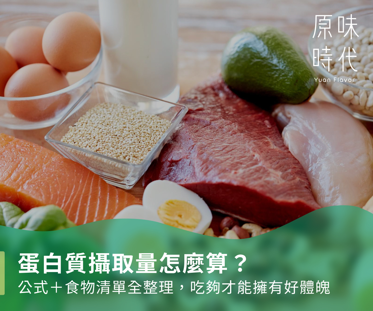 蛋白質攝取量怎麼算?公式+食物清單全整理,吃夠才能擁有好體魄