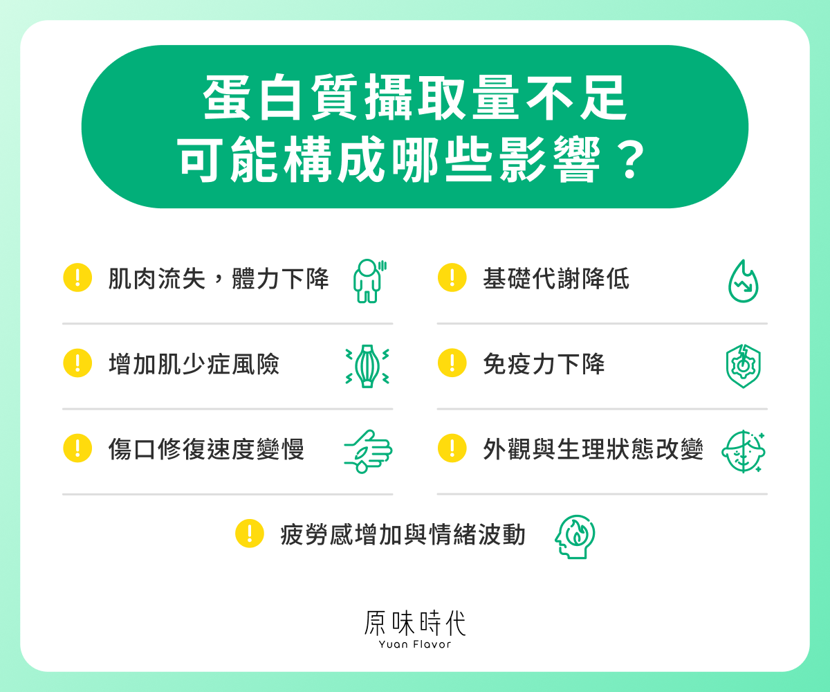 蛋白質攝取量不足可能構成哪些影響?