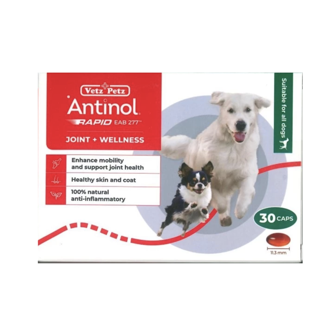 Antinol Rapid 犬用關節保健補充膠囊 -30粒裝