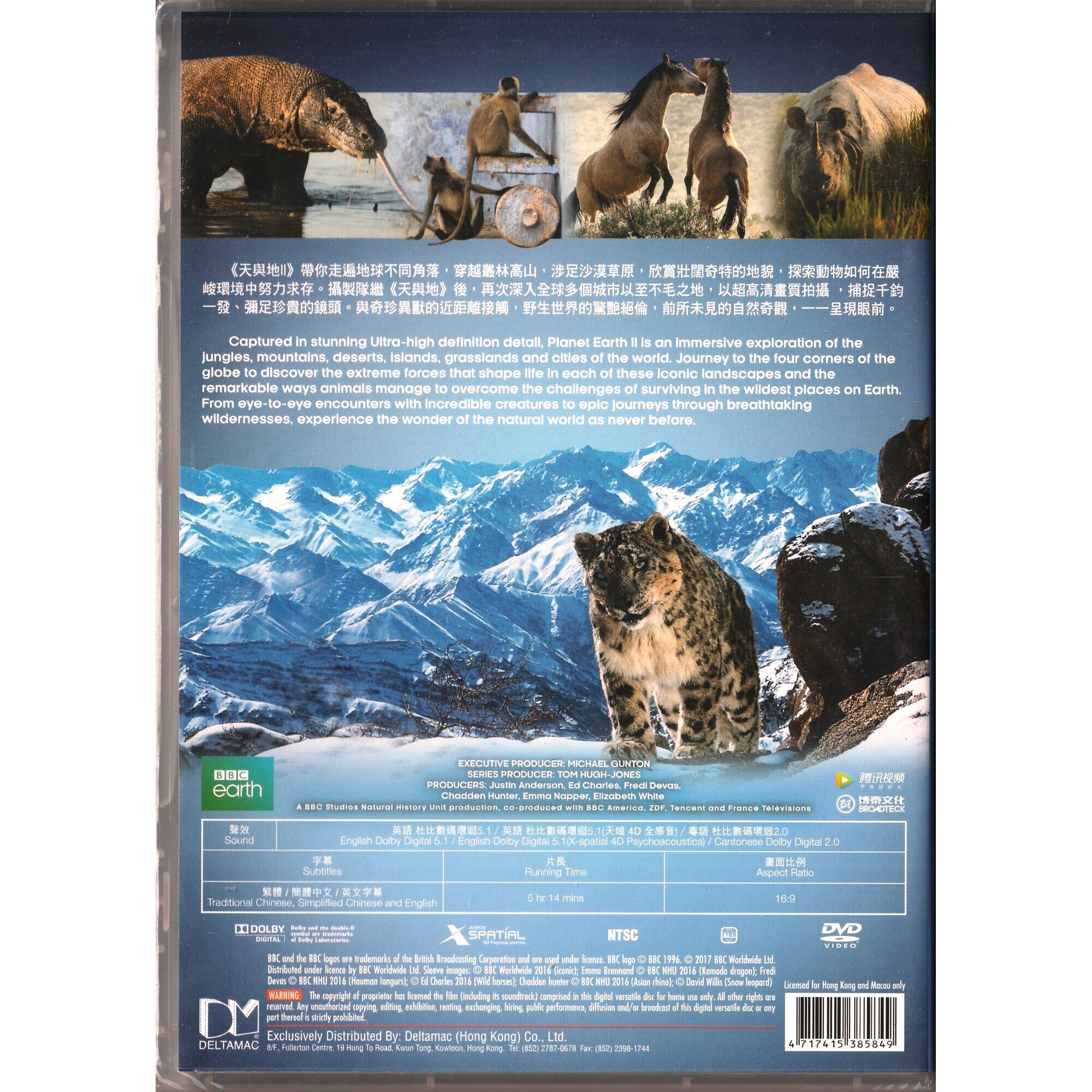 天與地II (DVD)