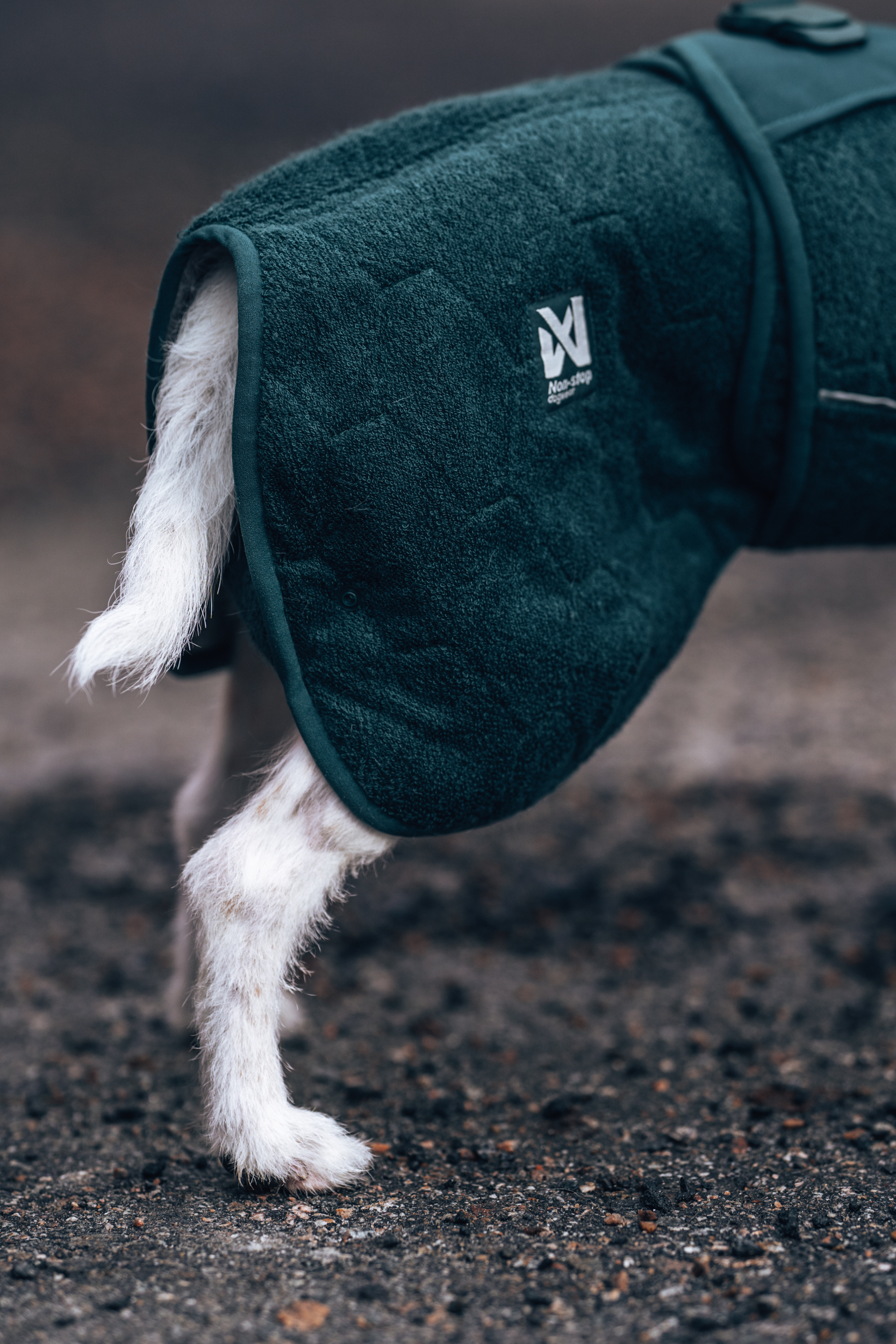 【Non-stop dogwear】專業犬用毛巾衣-深湖水綠