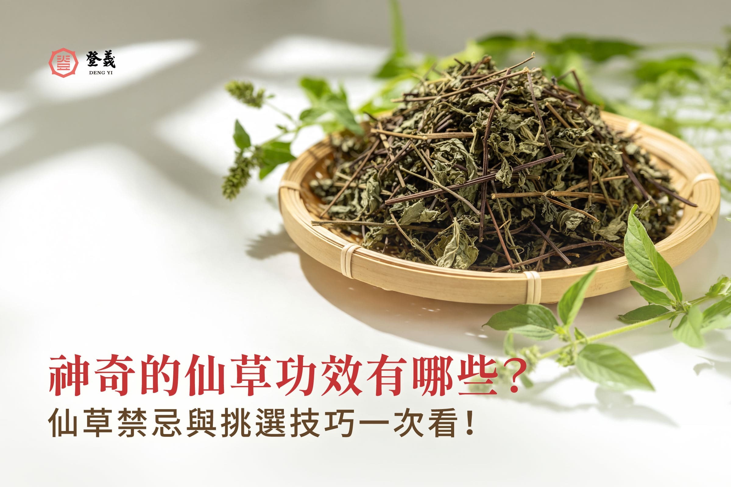 神奇的仙草功效有哪些？仙草禁忌與挑選技巧一次看！