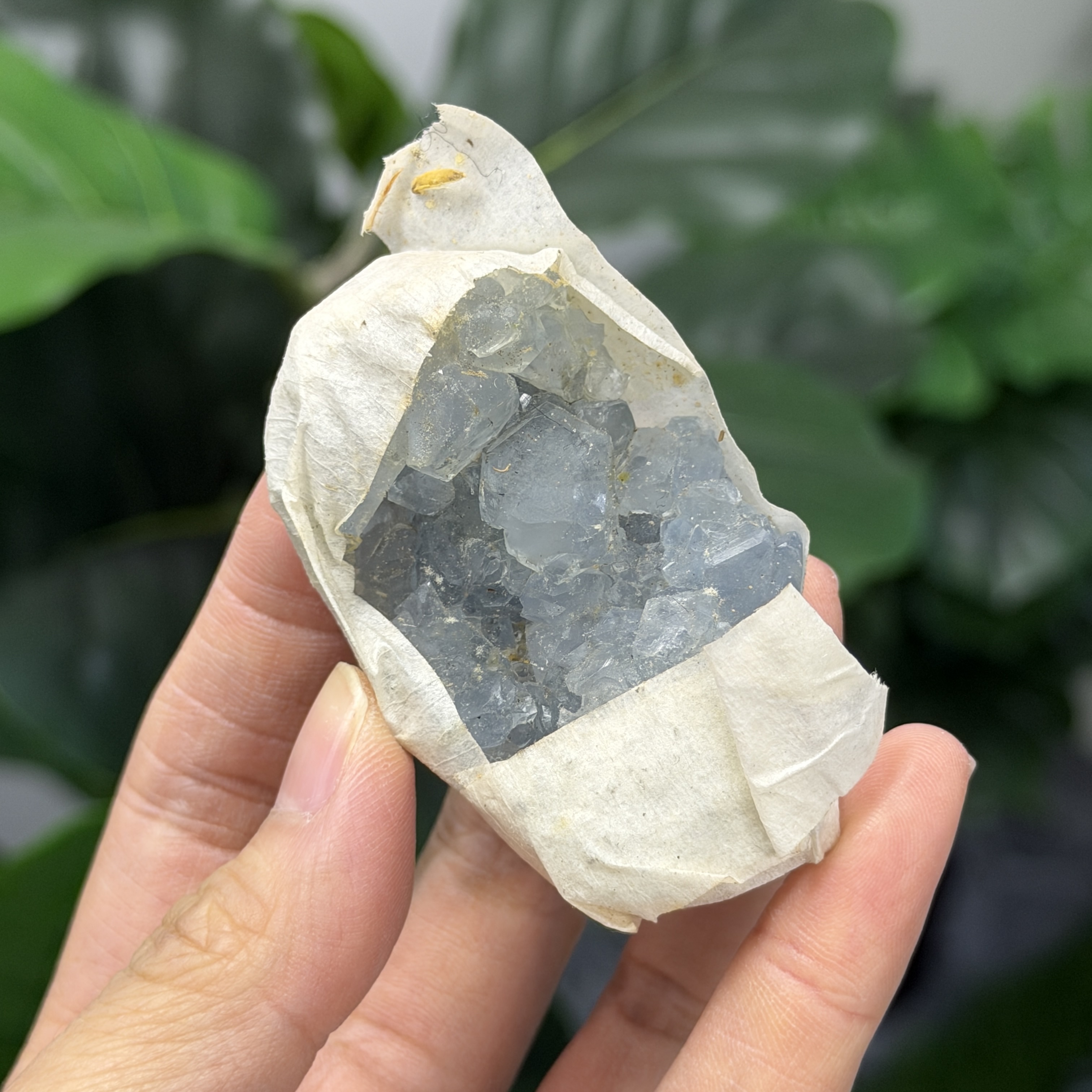高級數天青石 CE1572