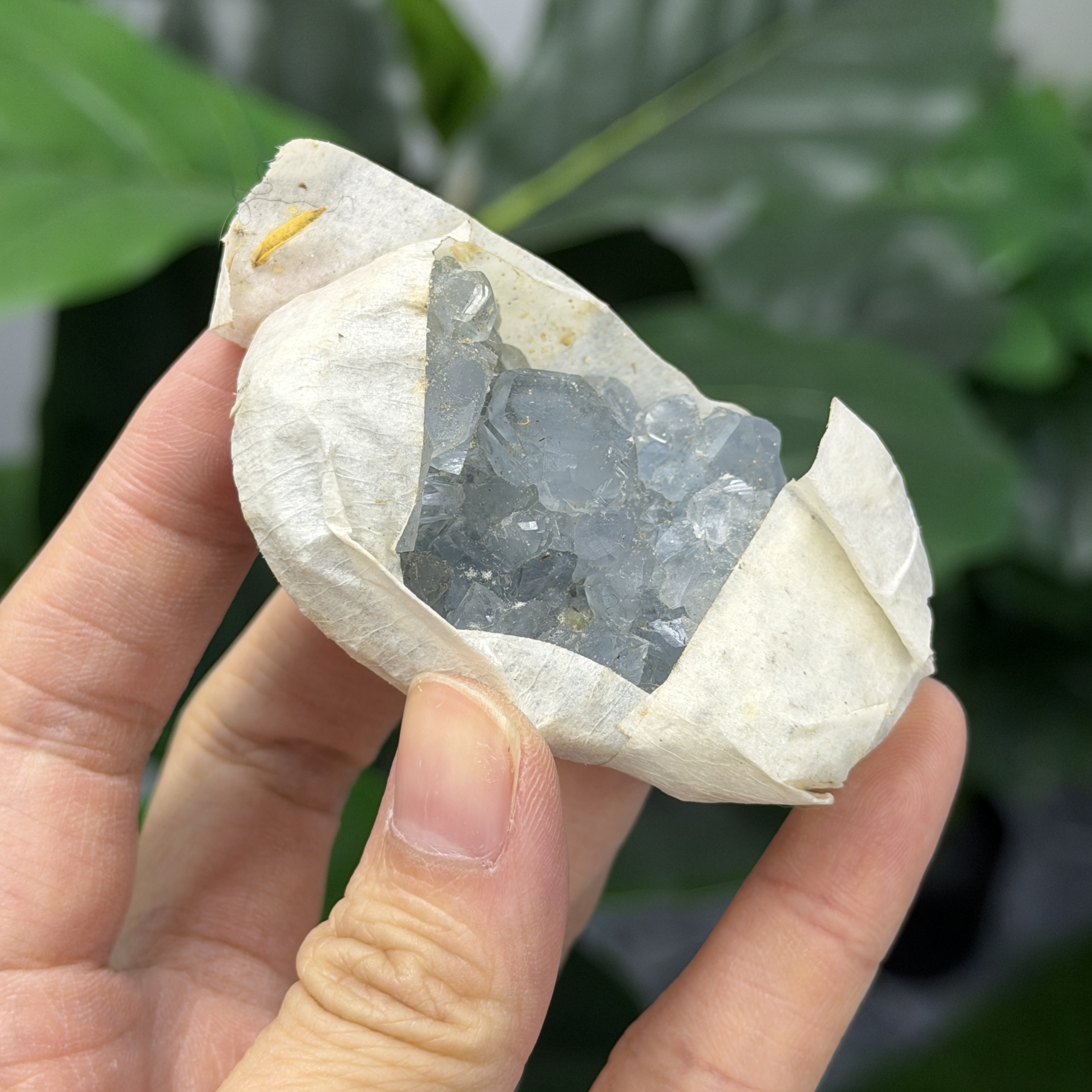 高級數天青石 CE1572
