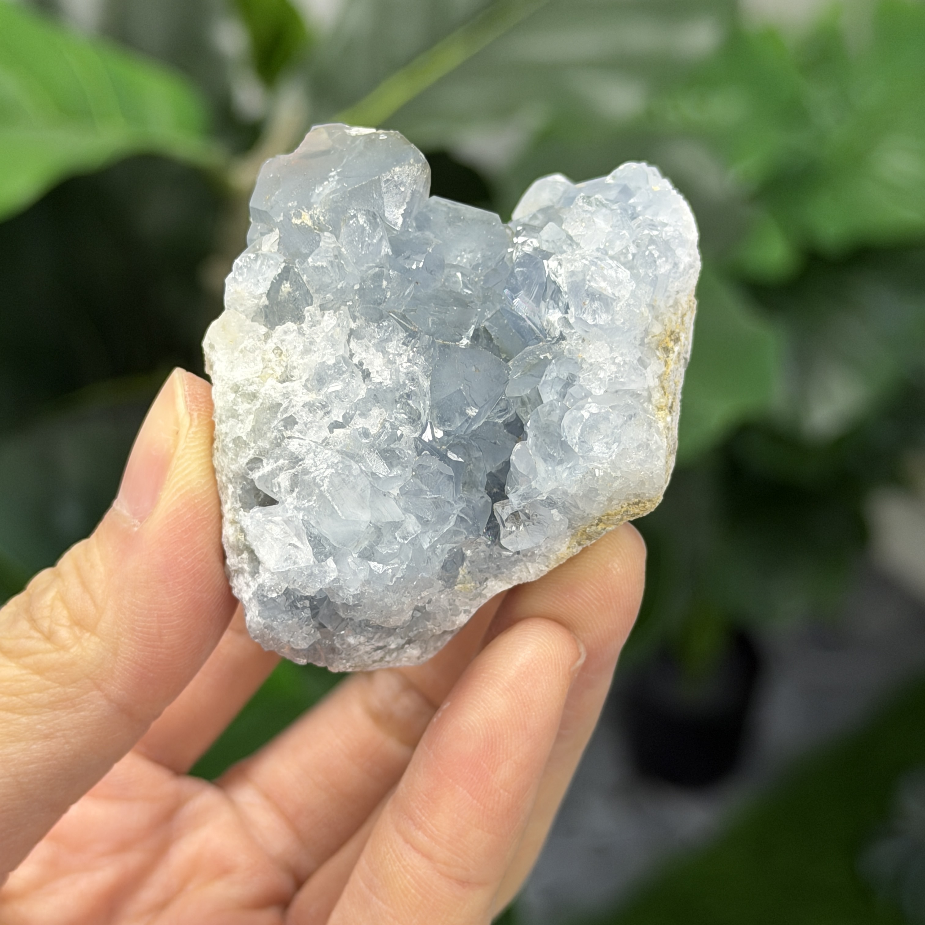 高級數天青石 CE1571