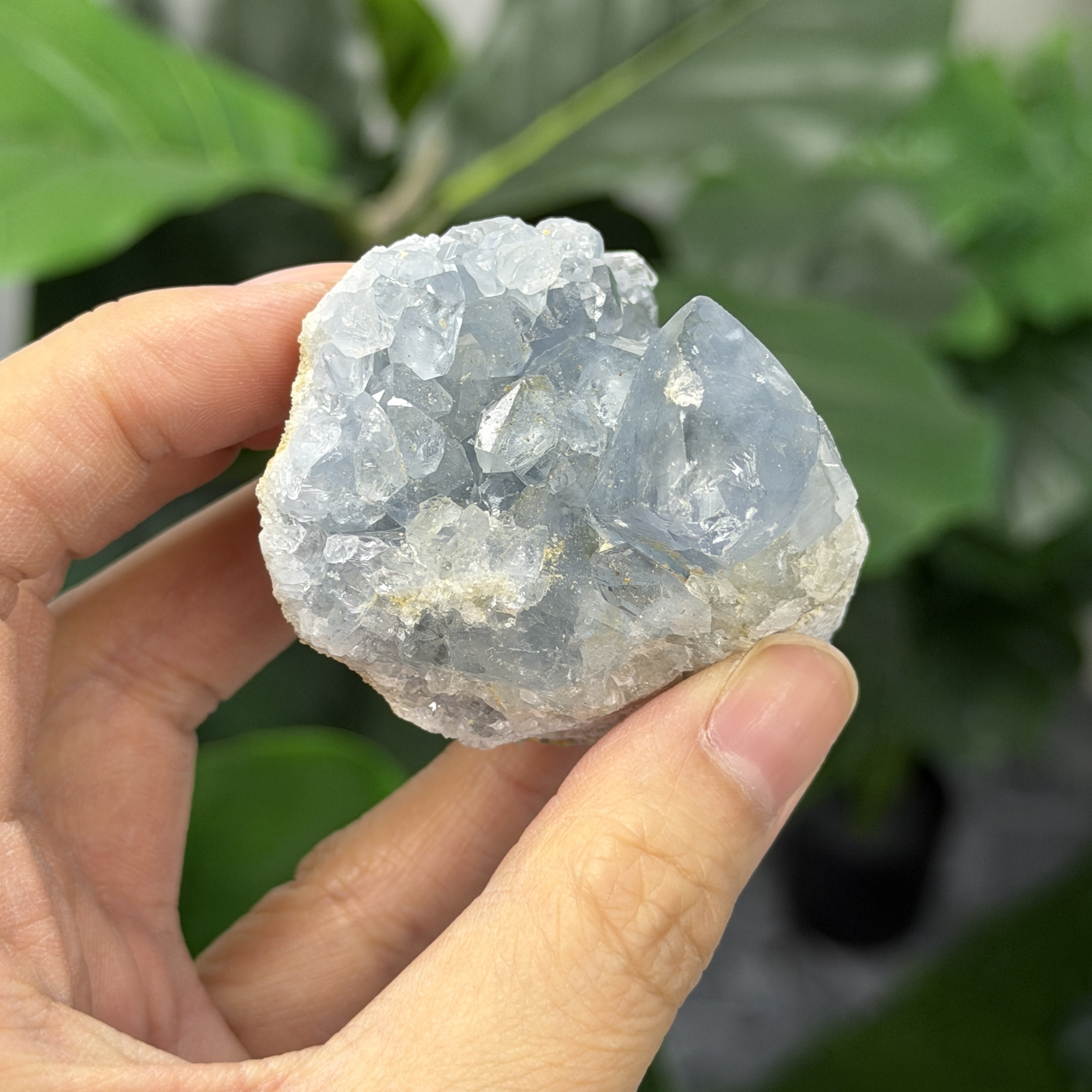 高級數天青石 CE1571