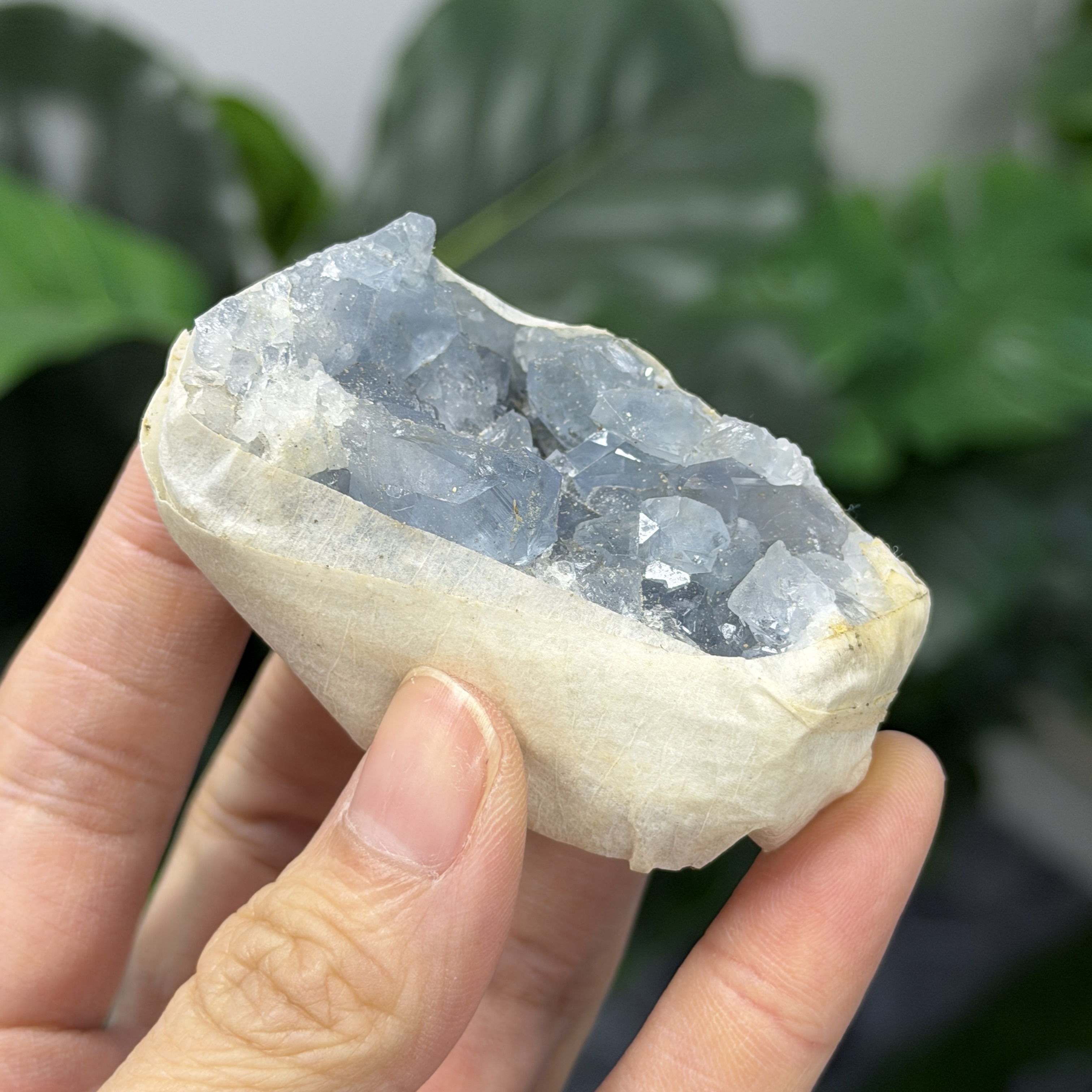 高級數天青石 CE1570