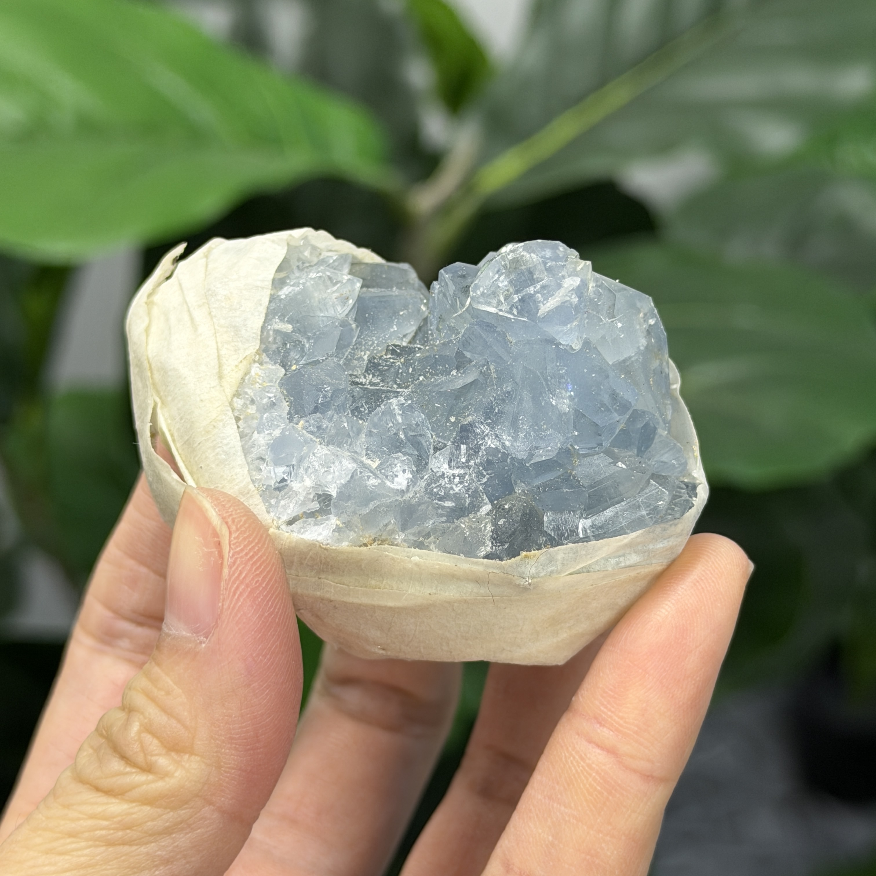 高級數天青石 CE1569