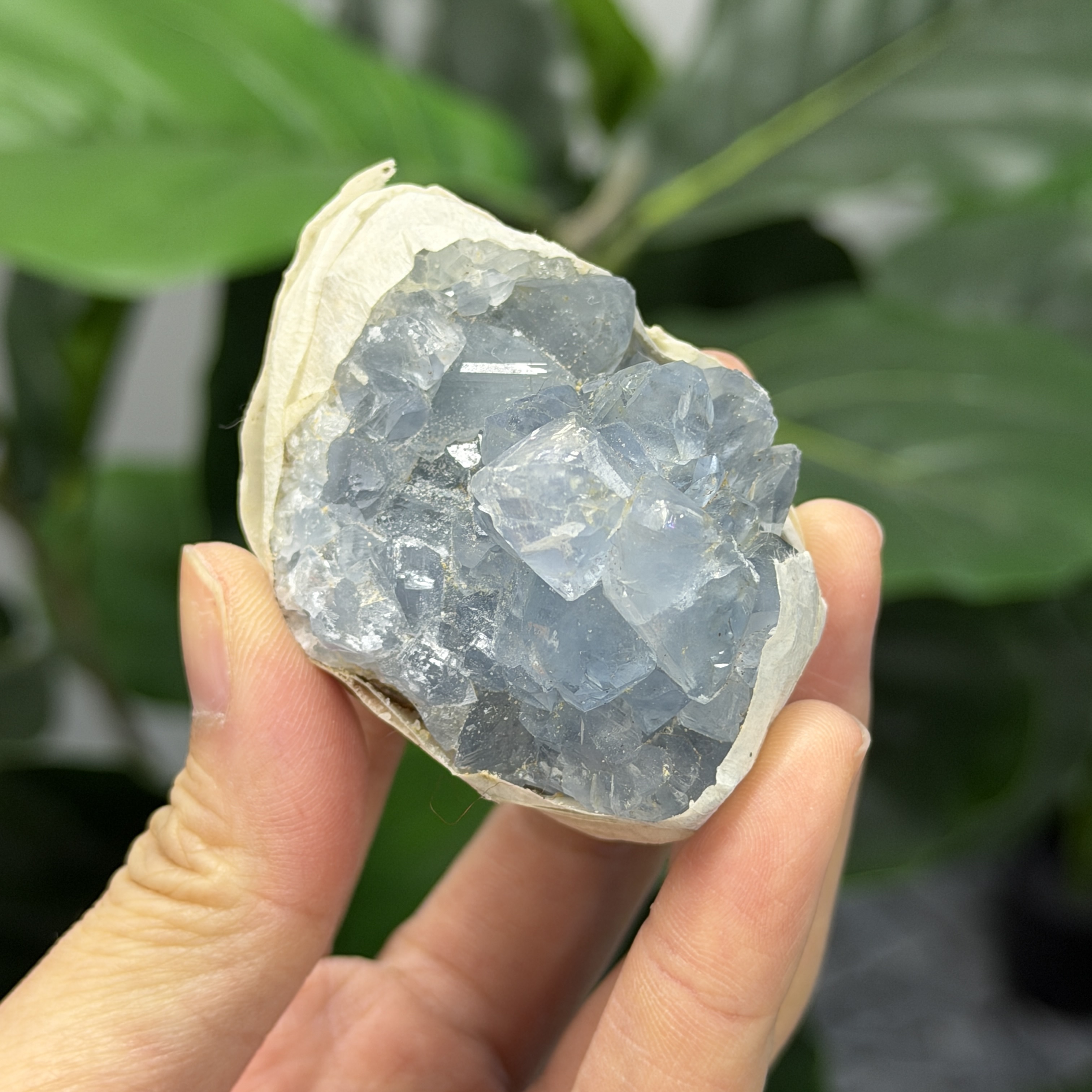 高級數天青石 CE1569