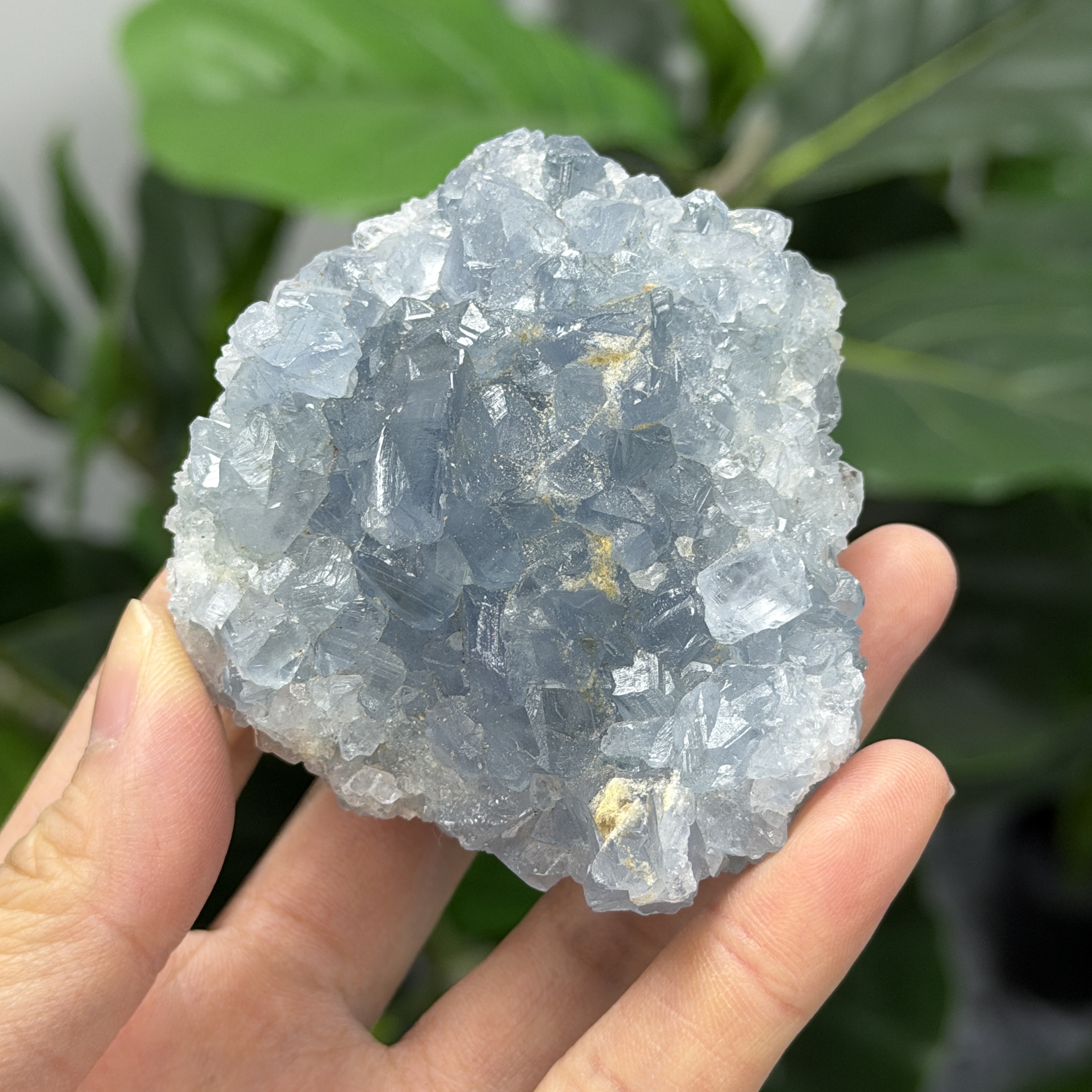 高級數天青石 CE1568