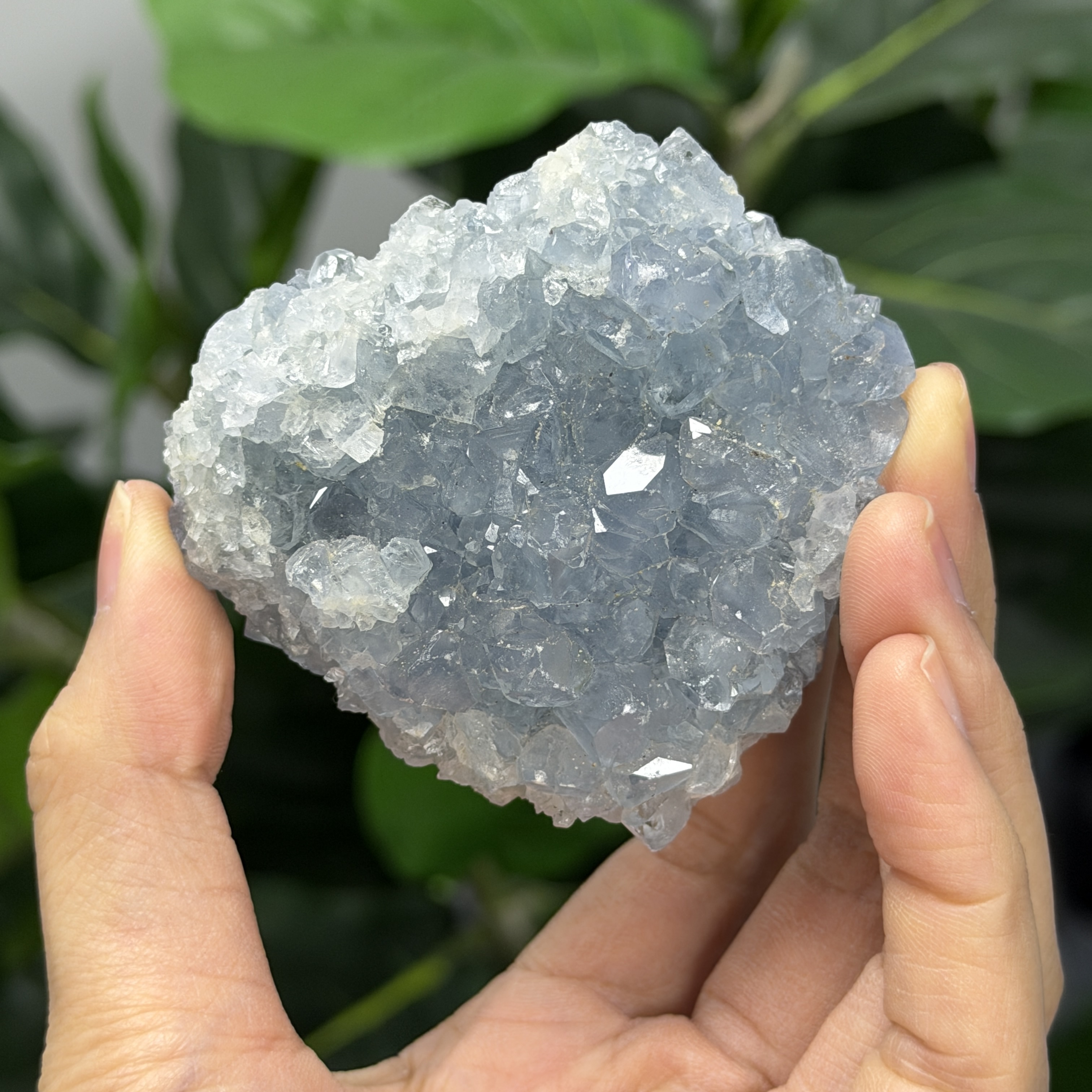 高級數天青石 CE1568