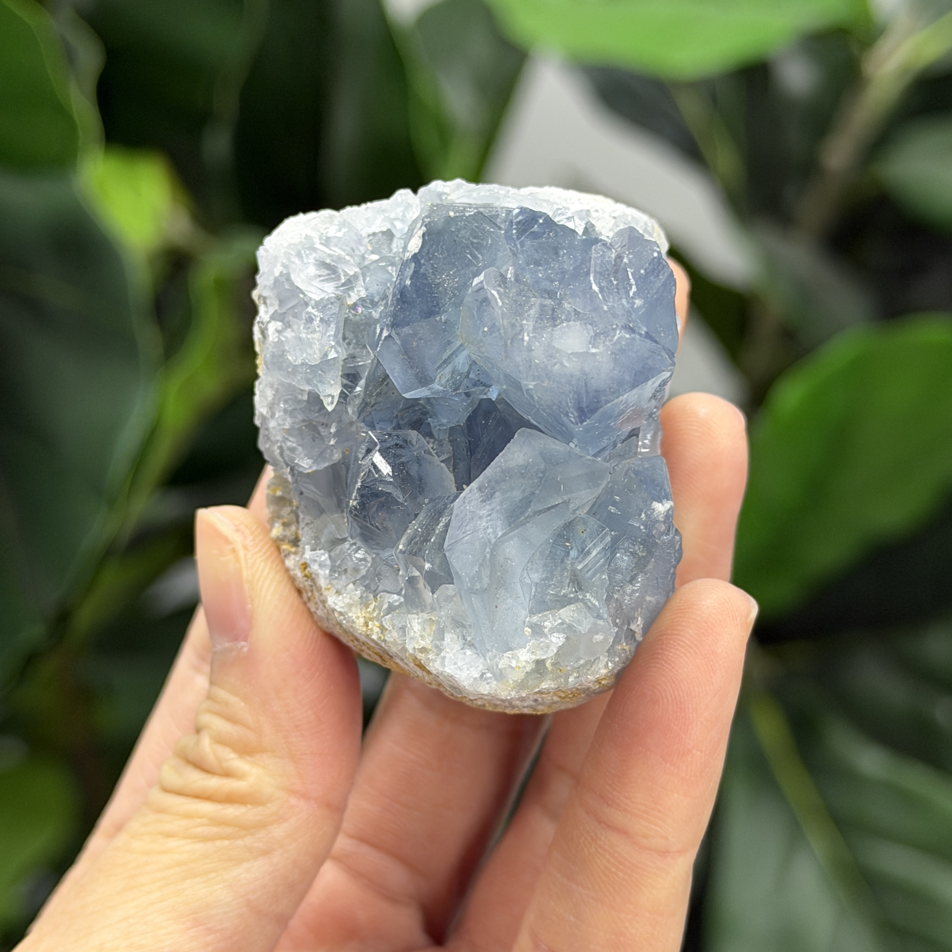 高級數天青石 CE1567